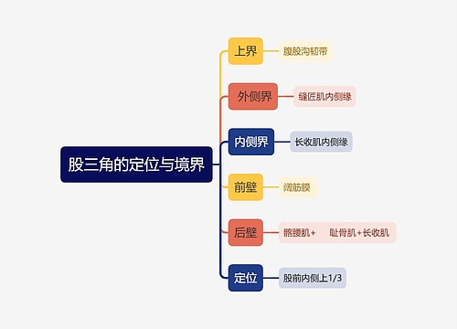 医学知识三角的定位与境界思维导图