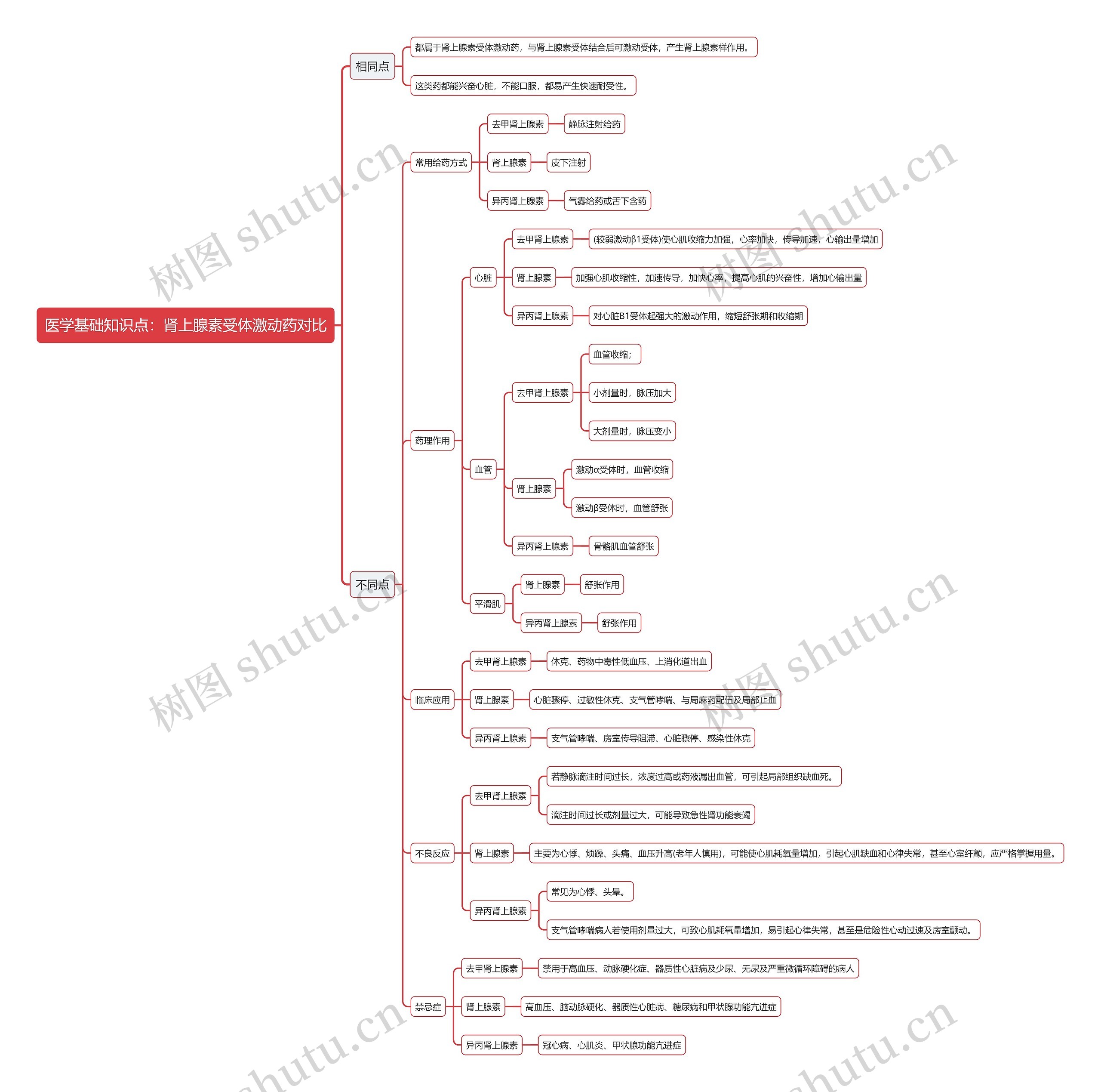 医学基础知识点：肾上腺素受体激动药对比思维导图