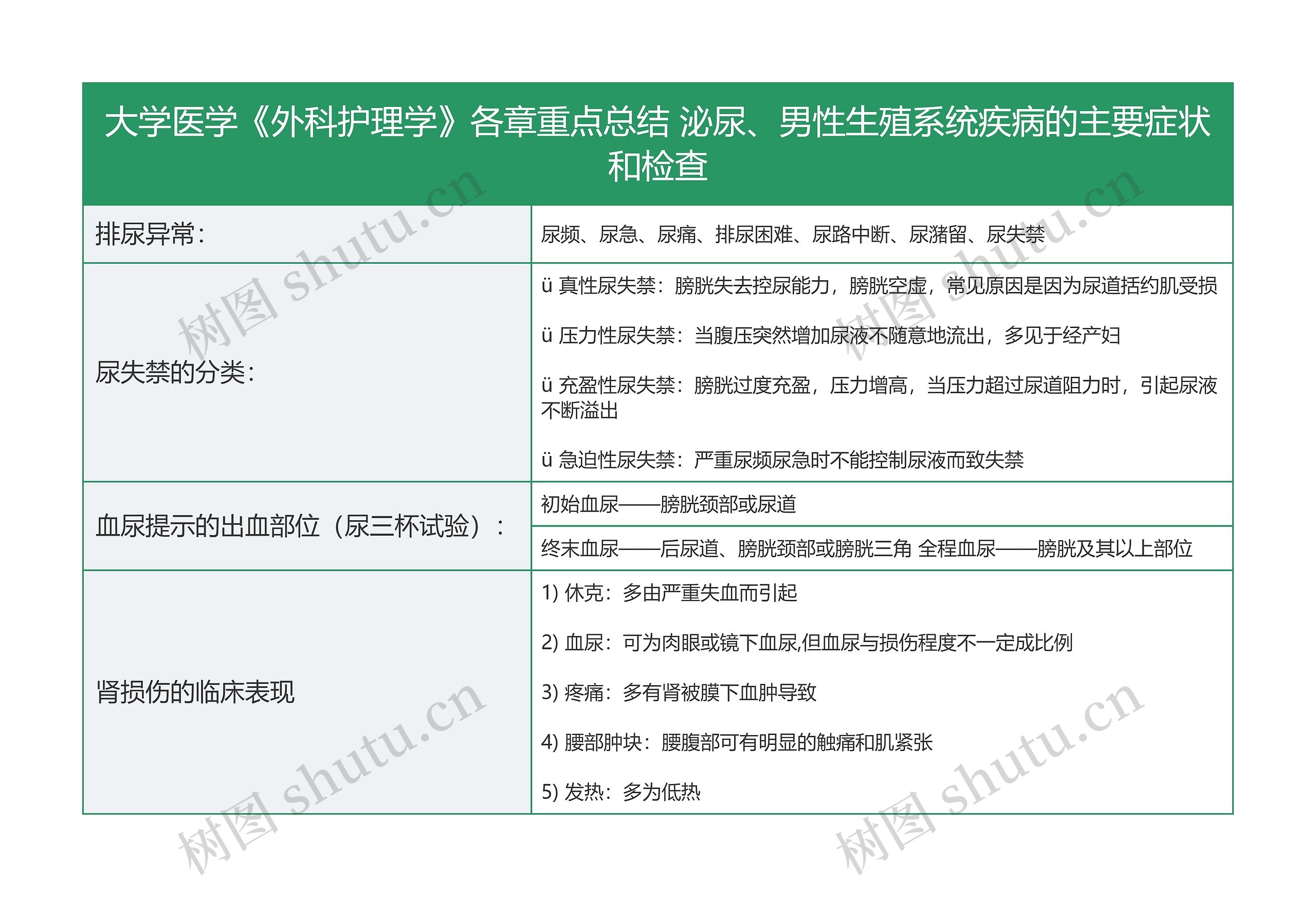 泌尿、男性生殖系统疾病的主要症状和检查