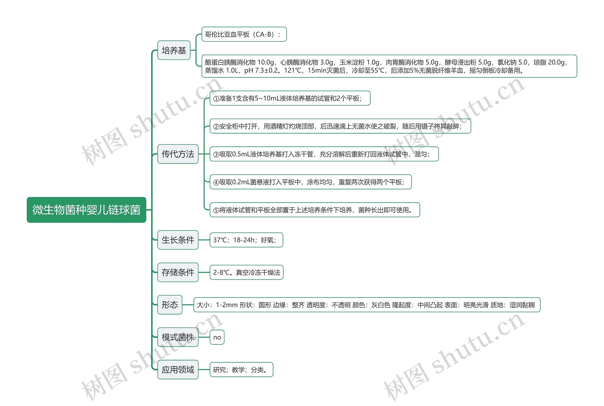 微生物菌种婴儿链球菌思维导图