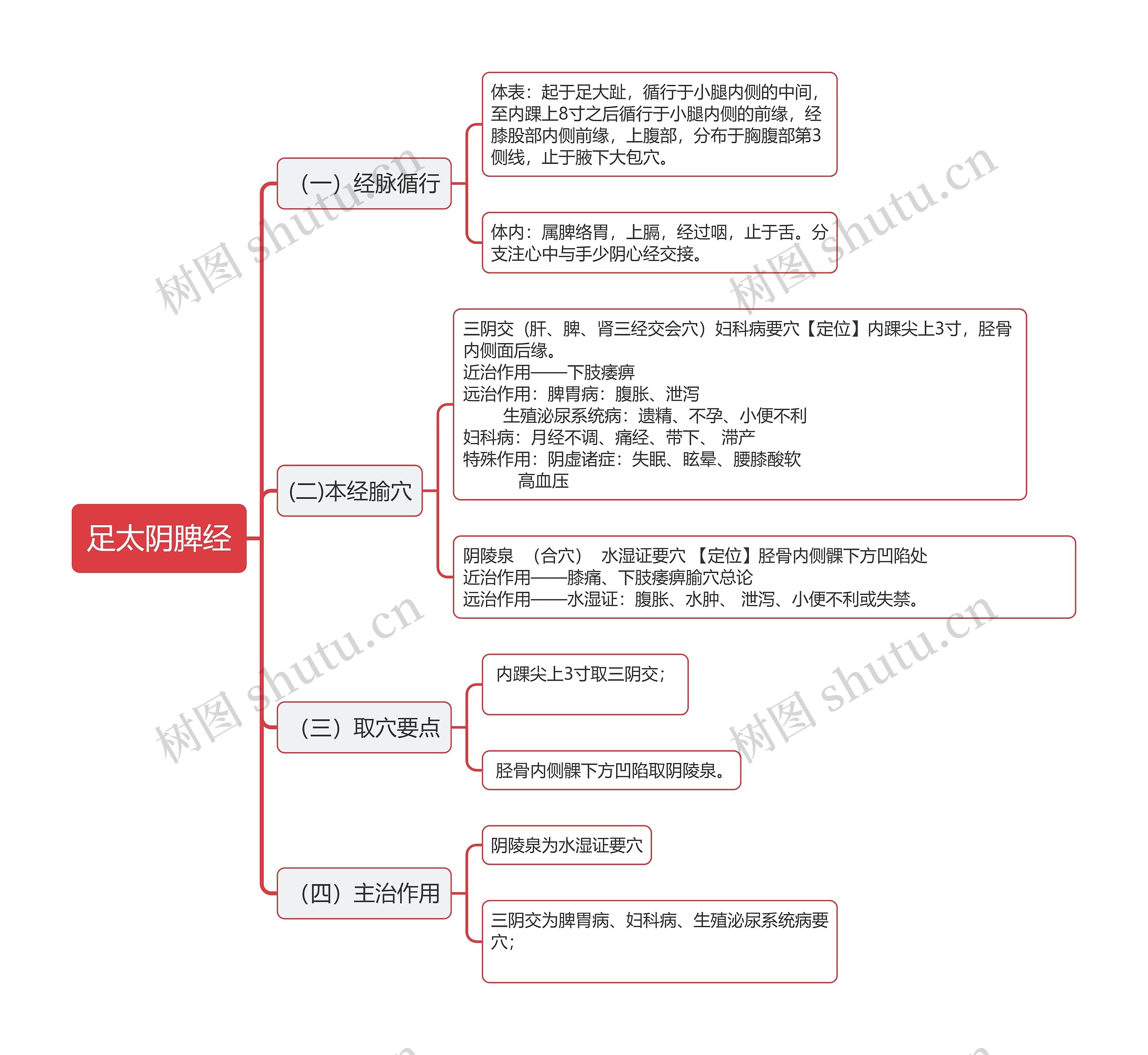 足太阴脾经思维导图