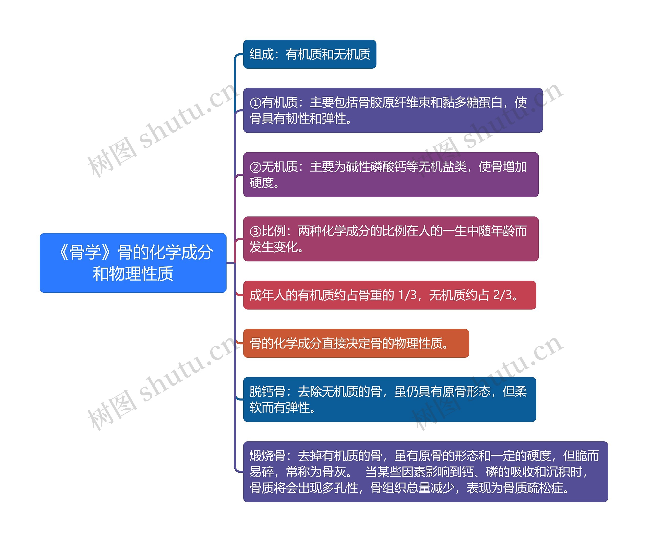 《骨学》骨的化学成分和物理性质思维导图