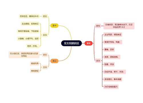 中医知识足太阳膀胱经思维导图