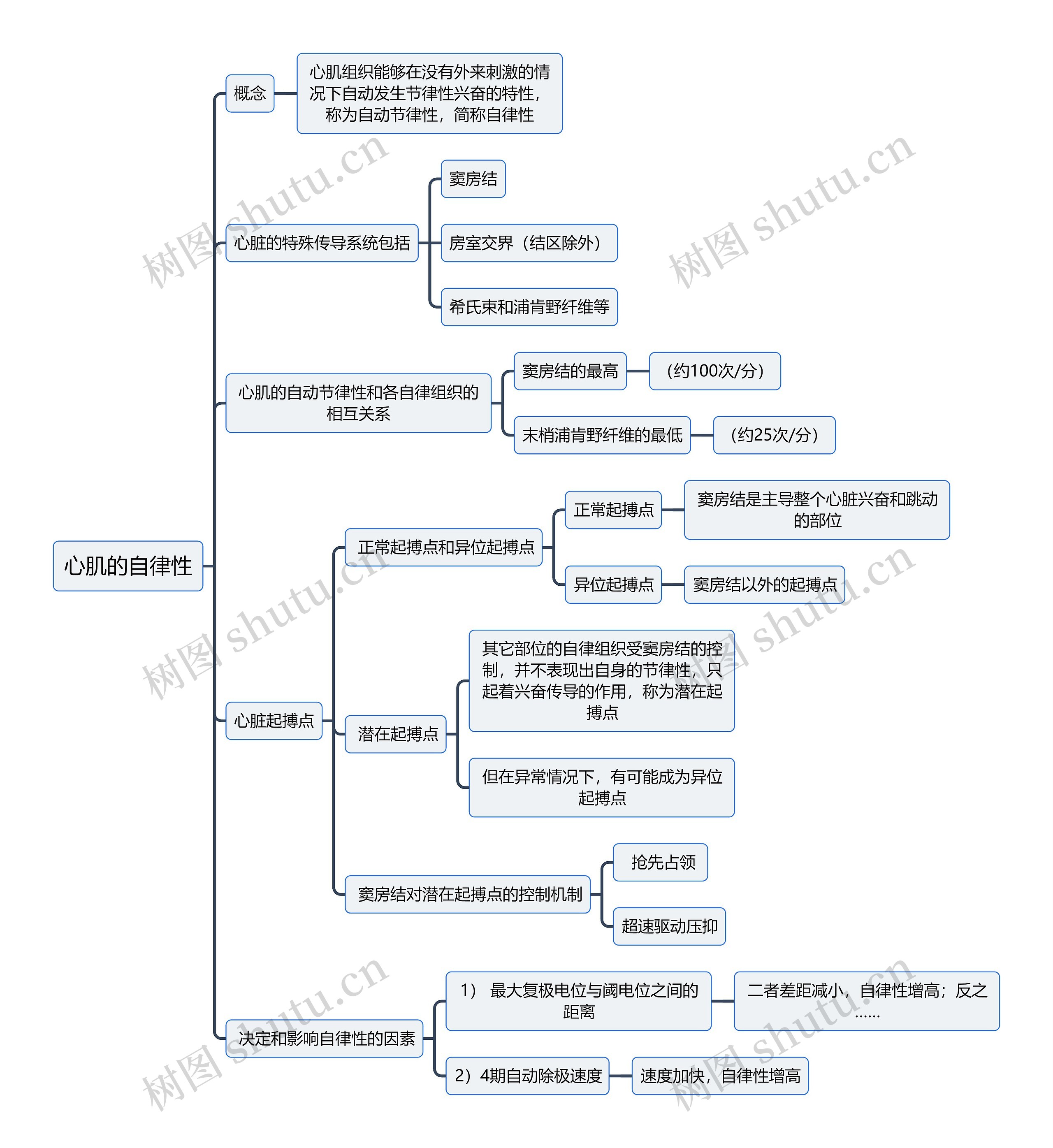 医学知识心肌的自律性思维导图