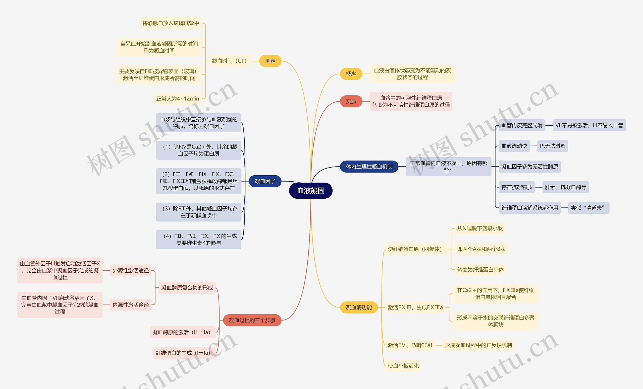 医学知识血液凝固思维导图