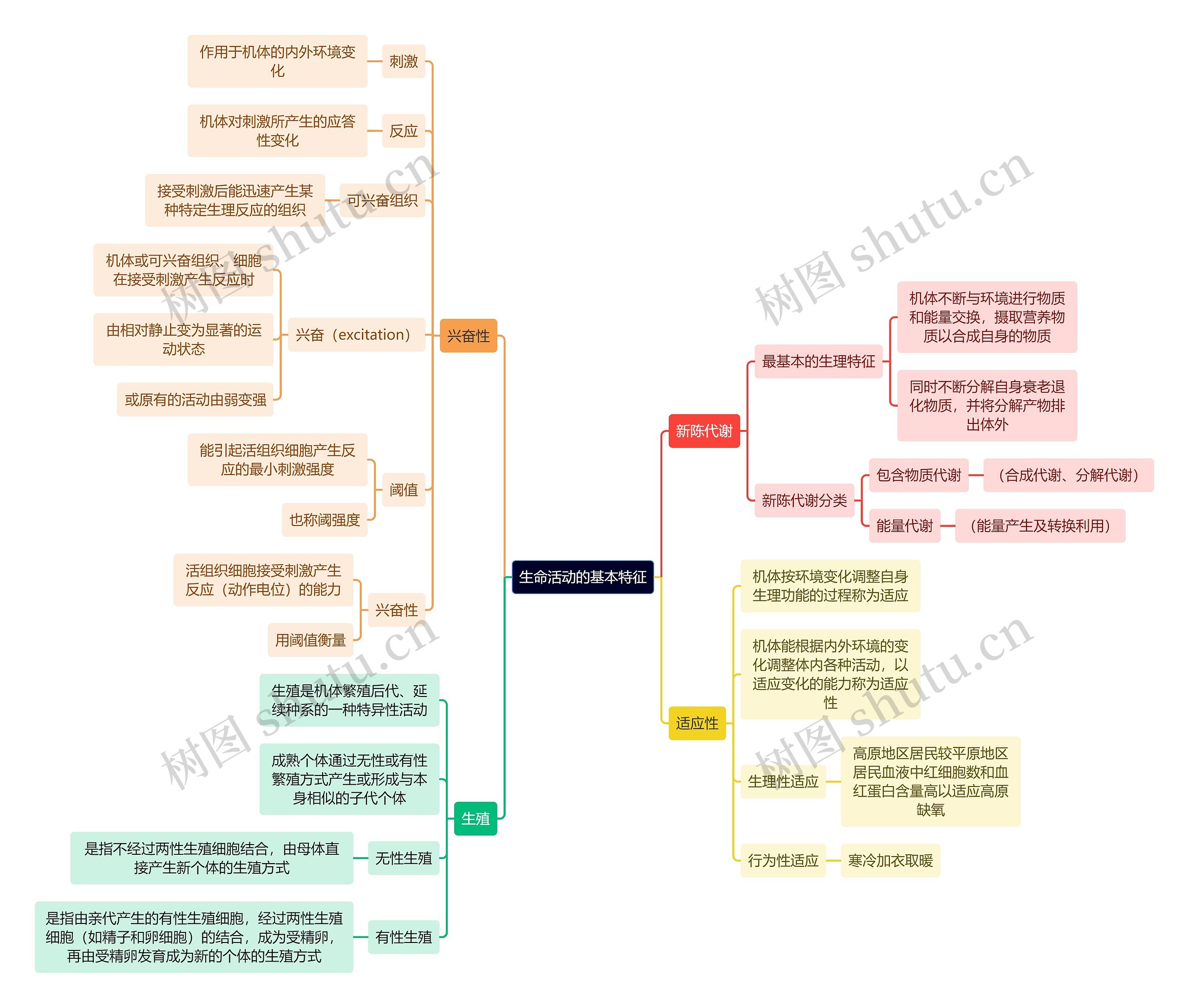 医学知识生命活动的基本特征思维导图