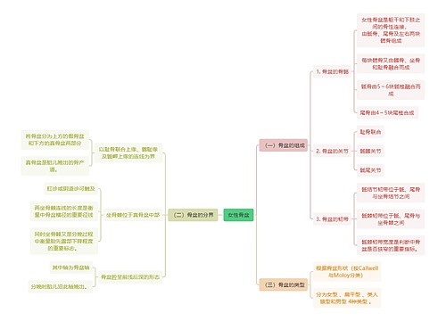  医学知识女性骨盆 思维导图