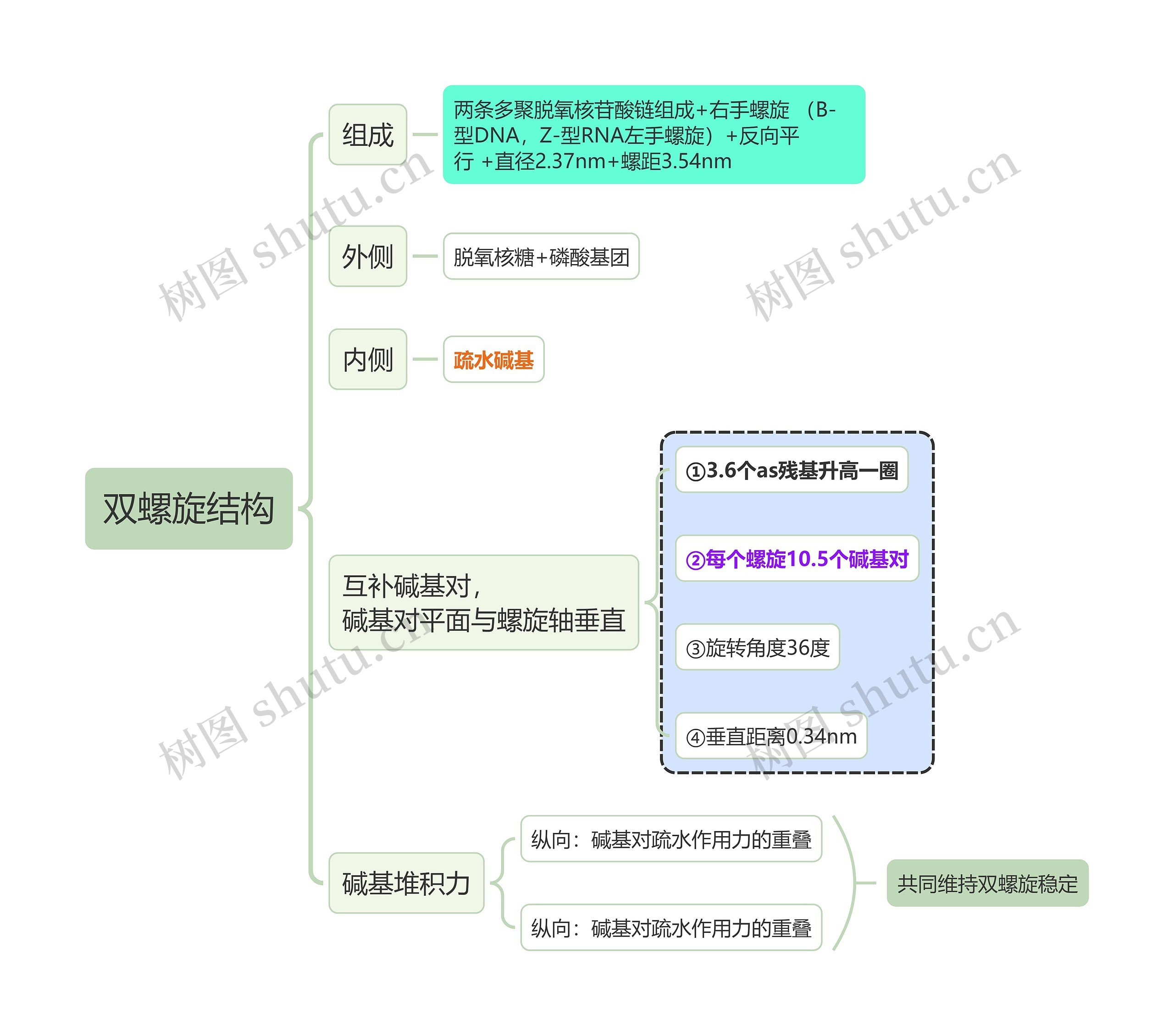 生化知识双螺旋结构思维导图