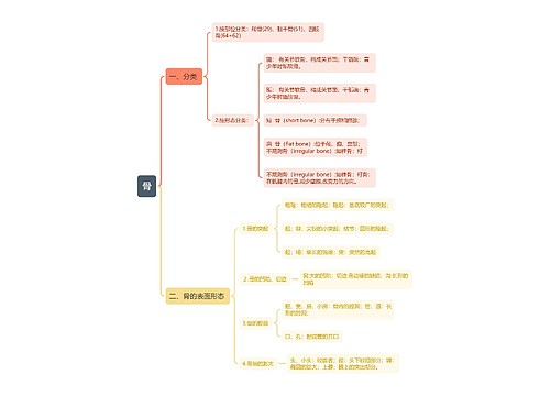 骨思维导图