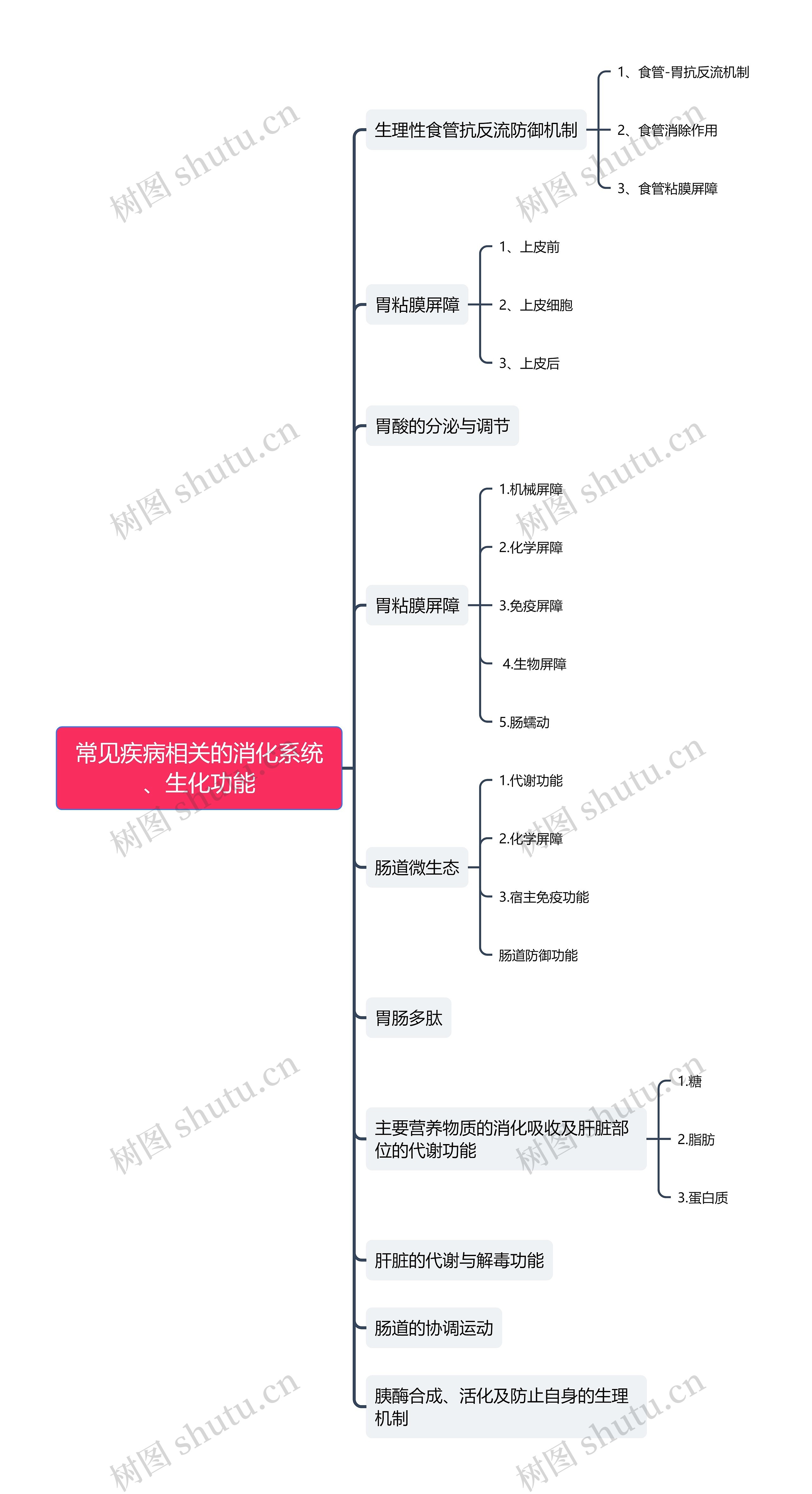 《消化性系统疾病》思维导图