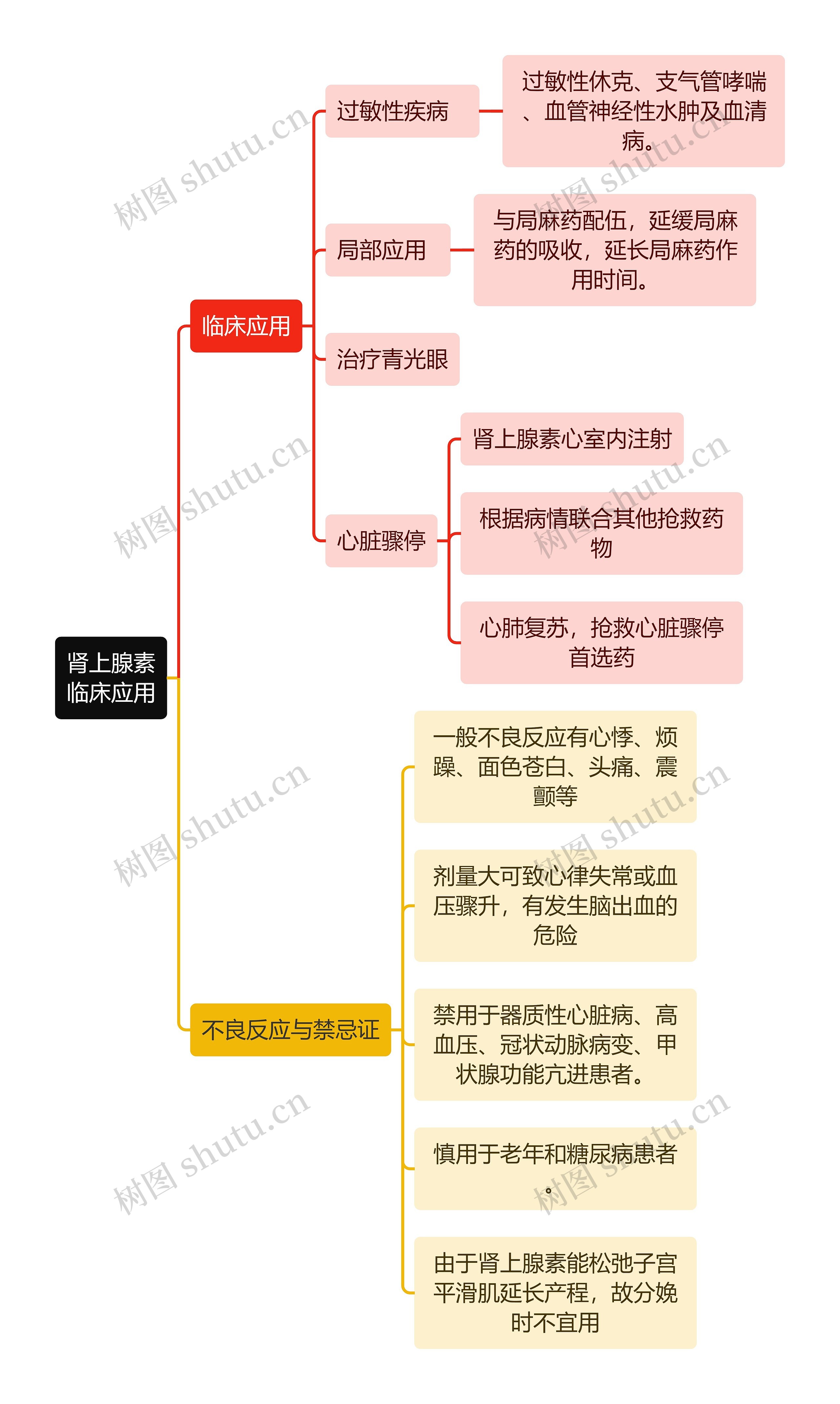 医学知识肾上腺素临床应用思维导图