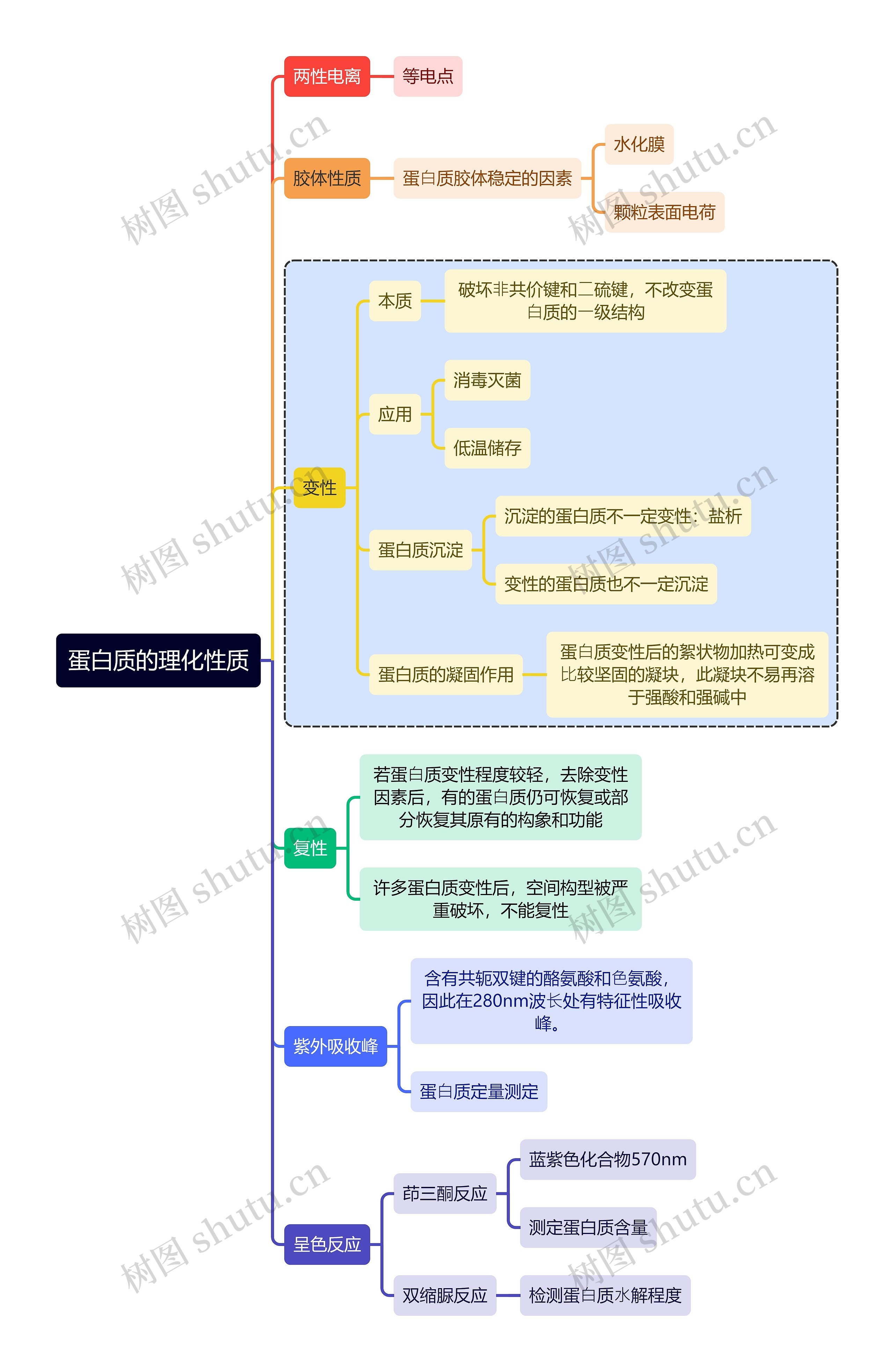 医学知识蛋白质的理化性质思维导图