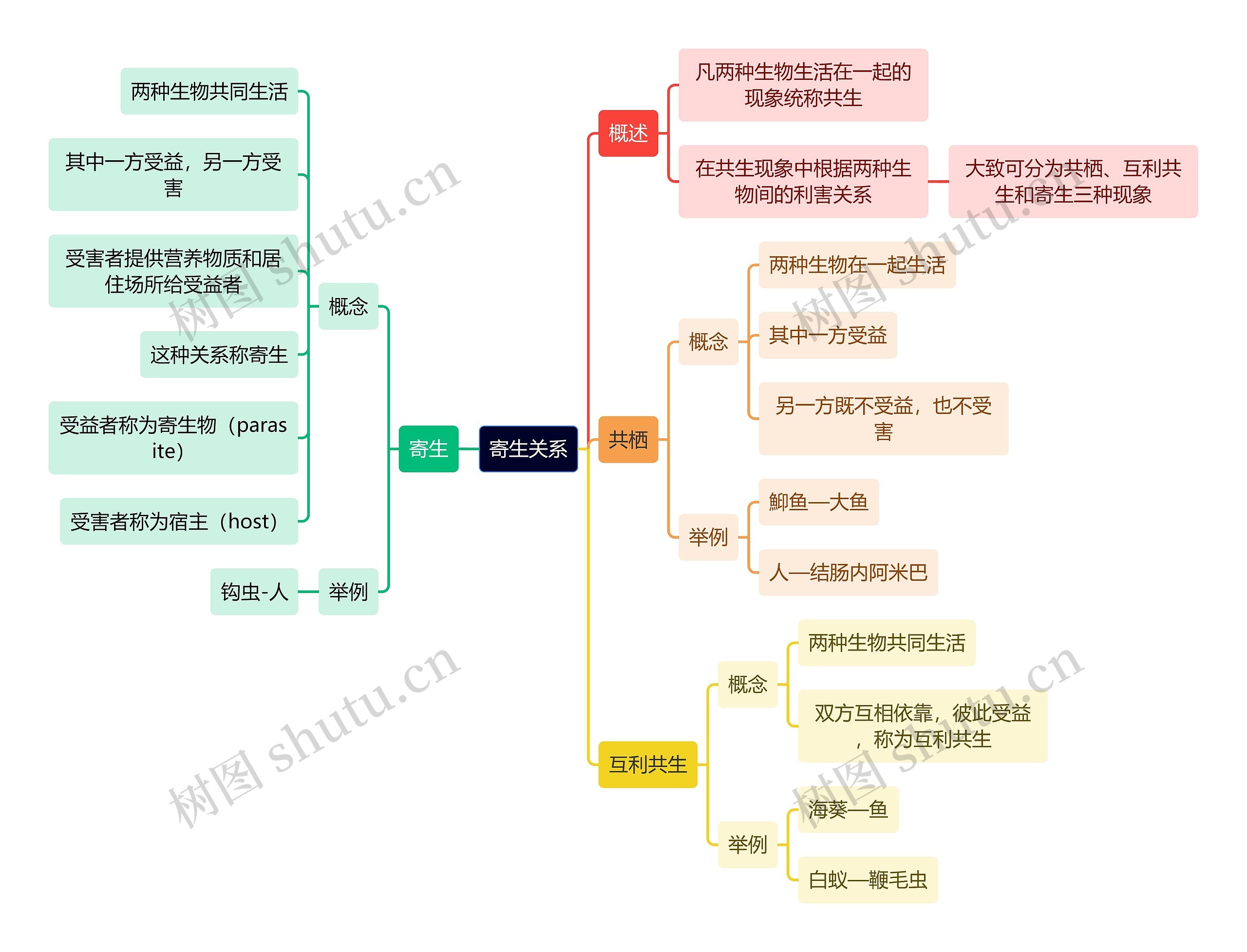 医学知识寄生关系思维导图