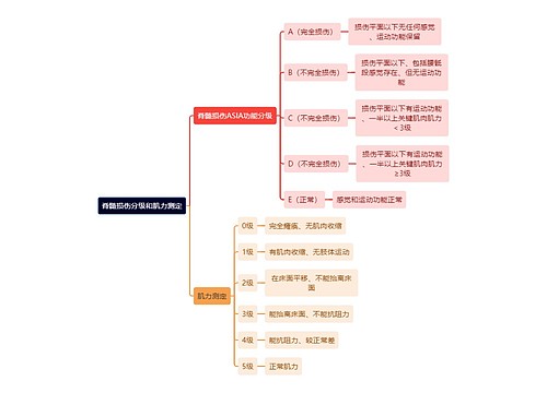 骨学知识脊髓损伤分级和肌力测定思维导图