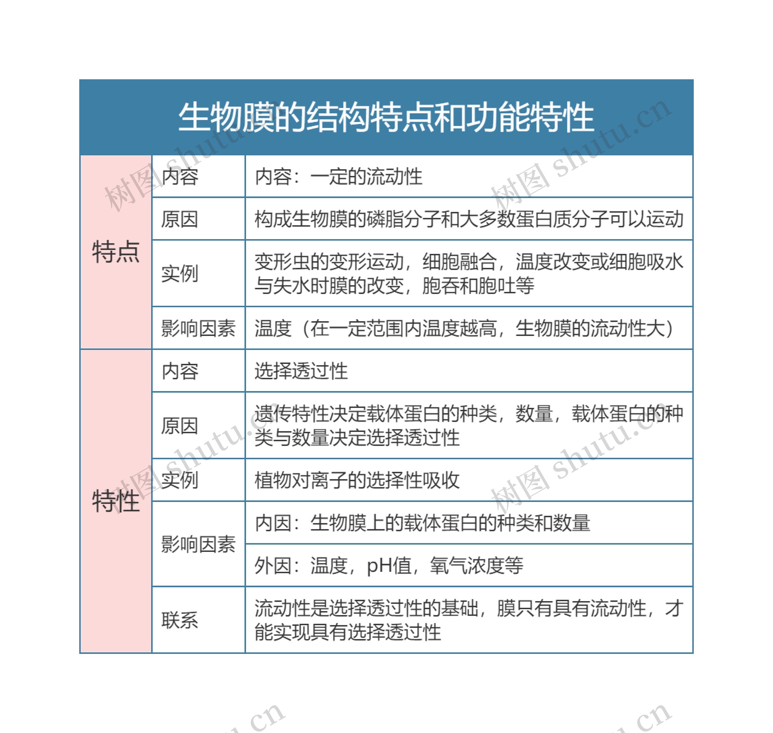 高中生物必修一生物膜的结构特点和功能特性思维导图