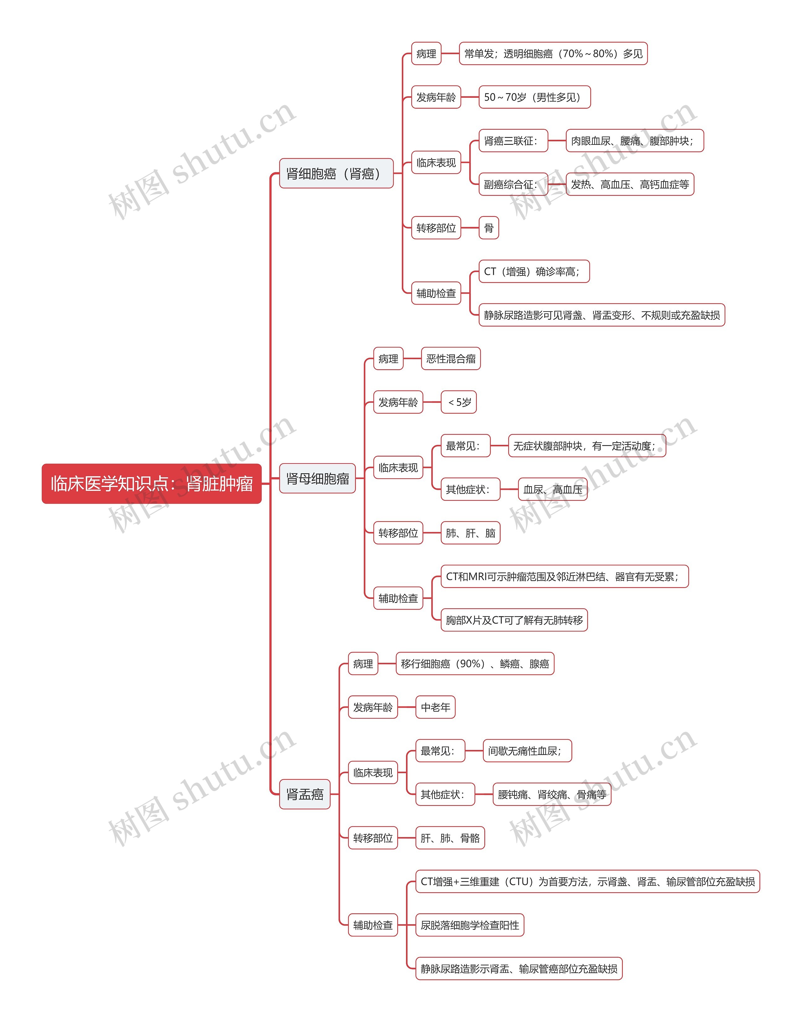 临床医学知识点：肾脏肿瘤思维导图