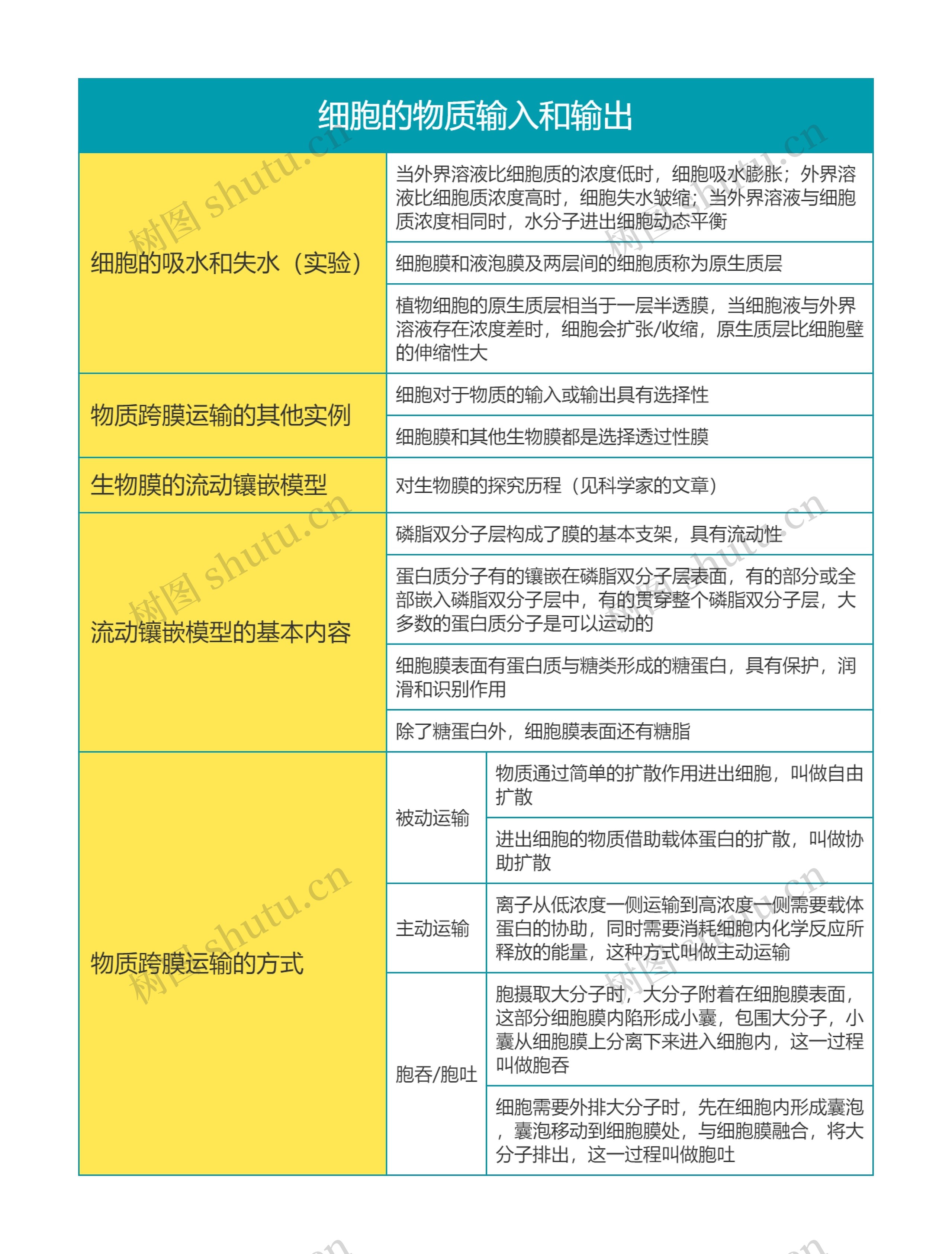 高中生物必修一第四单元细胞的物质输入和输出思维导图