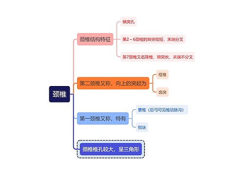 医学知识颈椎思维导图