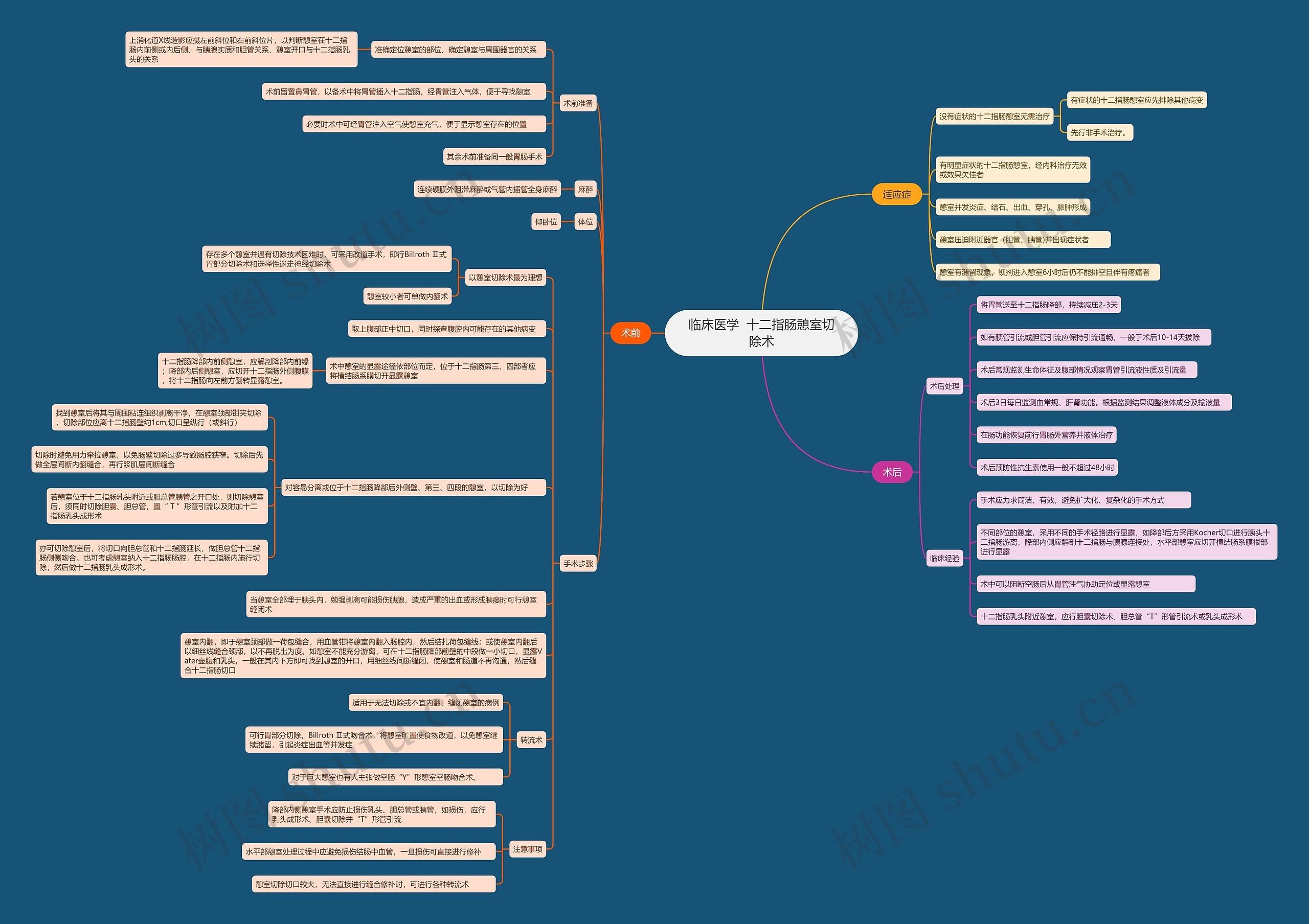 临床医学  十二指肠憩室切除术思维导图