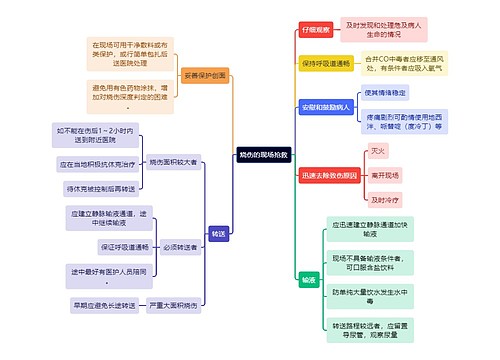 医学知识烧伤的现场抢救思维导图