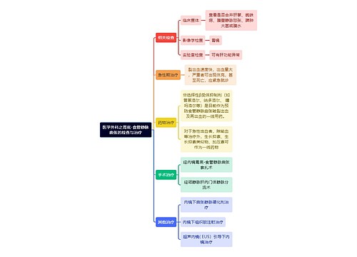 医学外科之胃底-食管静脉曲张的检查与治疗