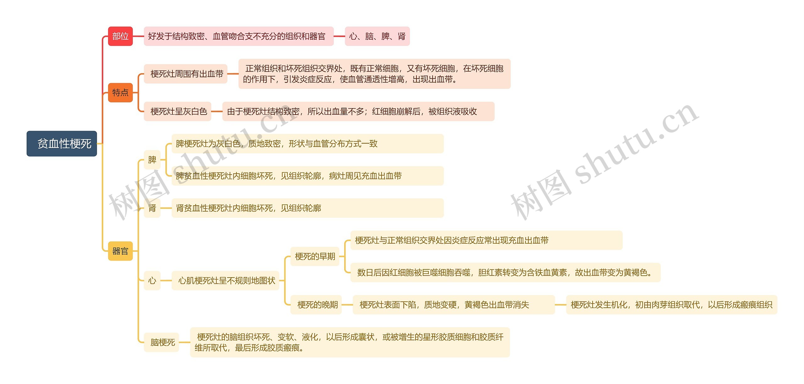  贫血性梗死思维导图