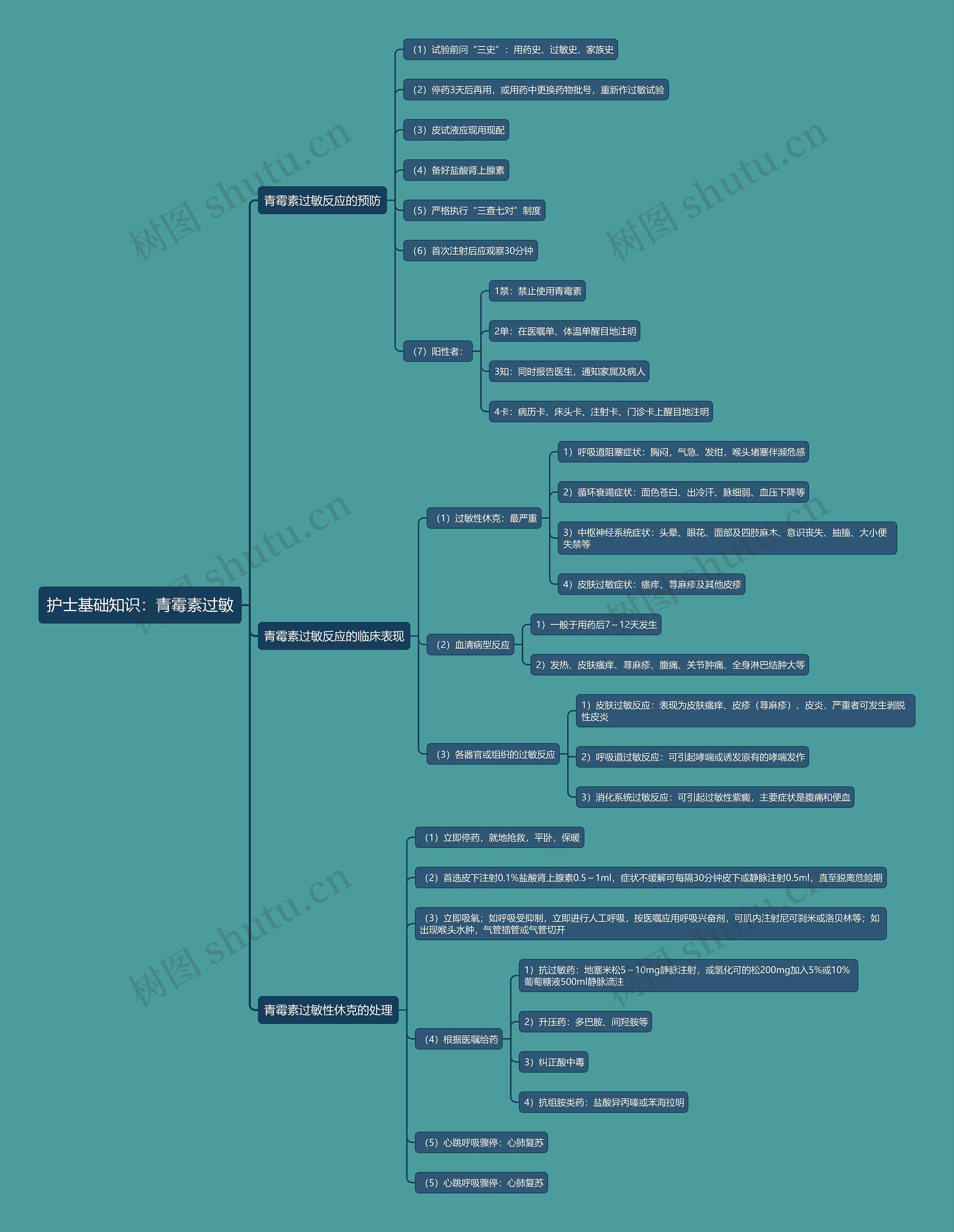 护士基础知识：青霉素过敏思维导图
