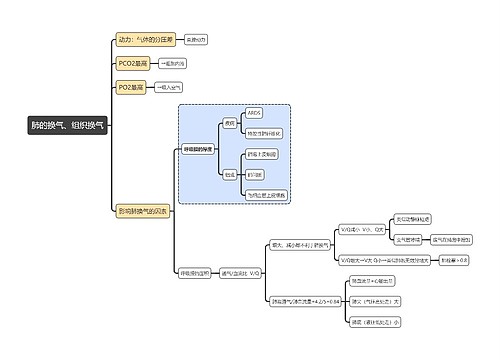 医学知识肺的换气、组织换气思维导图