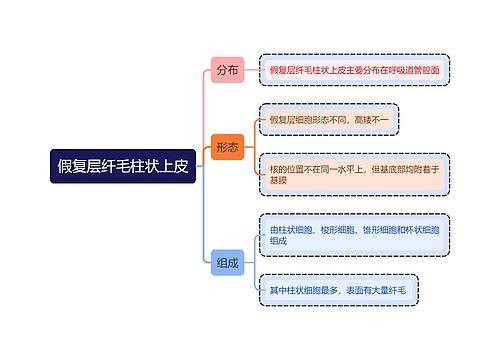 医学知识假复层纤毛柱状上皮思维导图