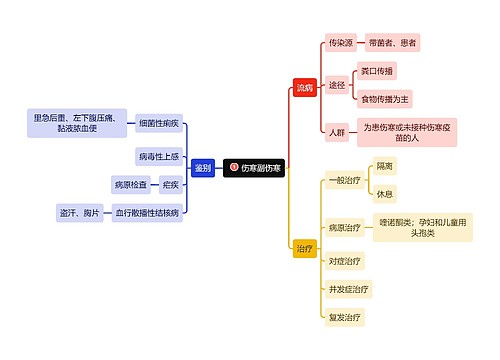 医学知识伤寒副伤寒思维导图