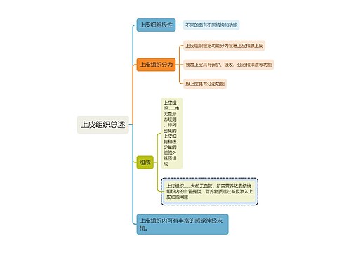 医学知识上皮组织总述思维导图