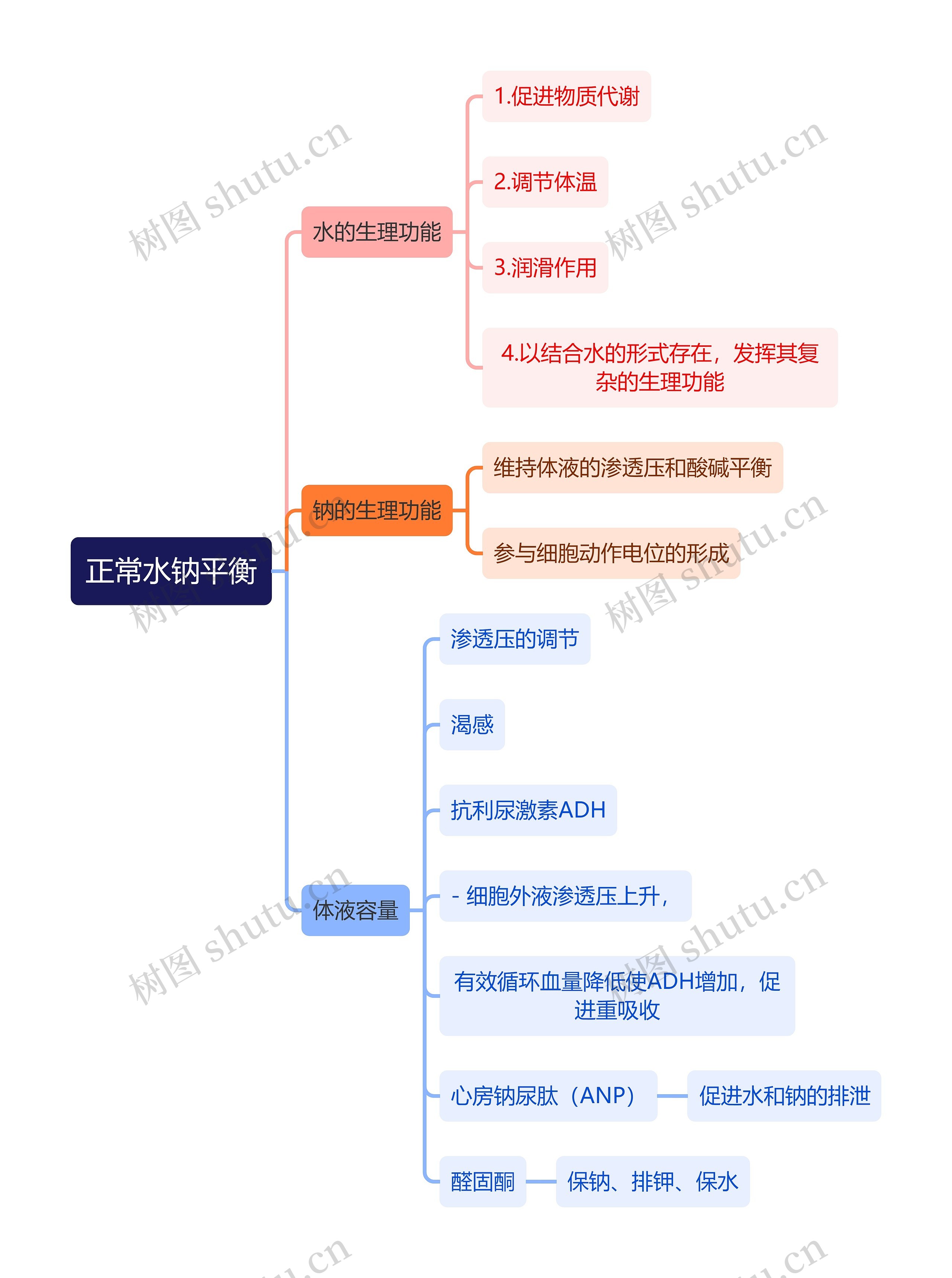 医学知识正常水钠平衡思维导图