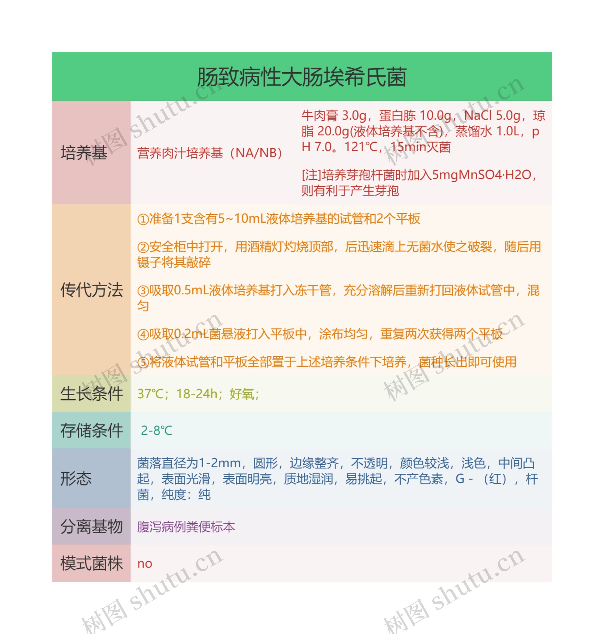 肠致病性大肠埃希氏菌