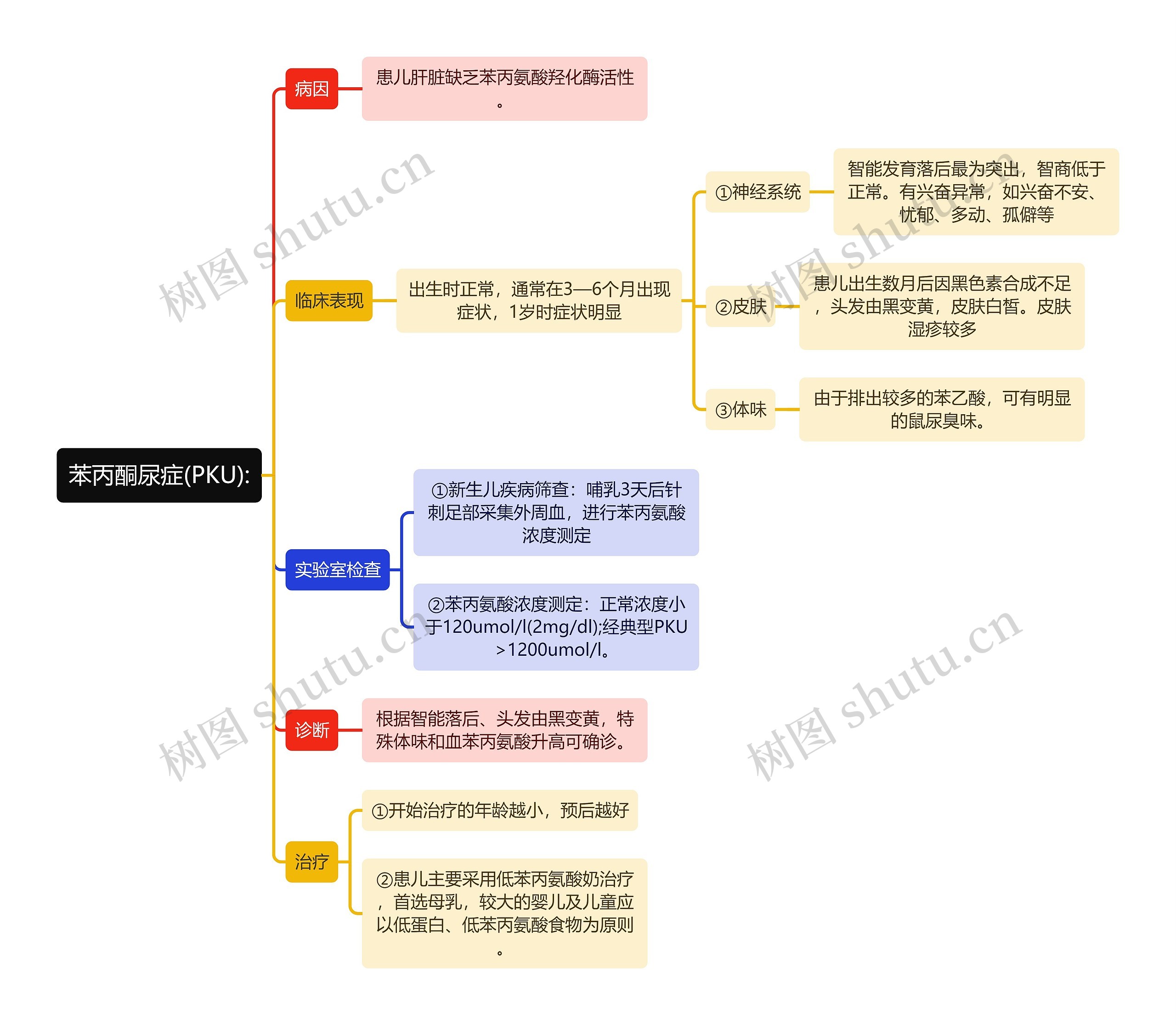 医学知识苯丙酮尿症思维导图