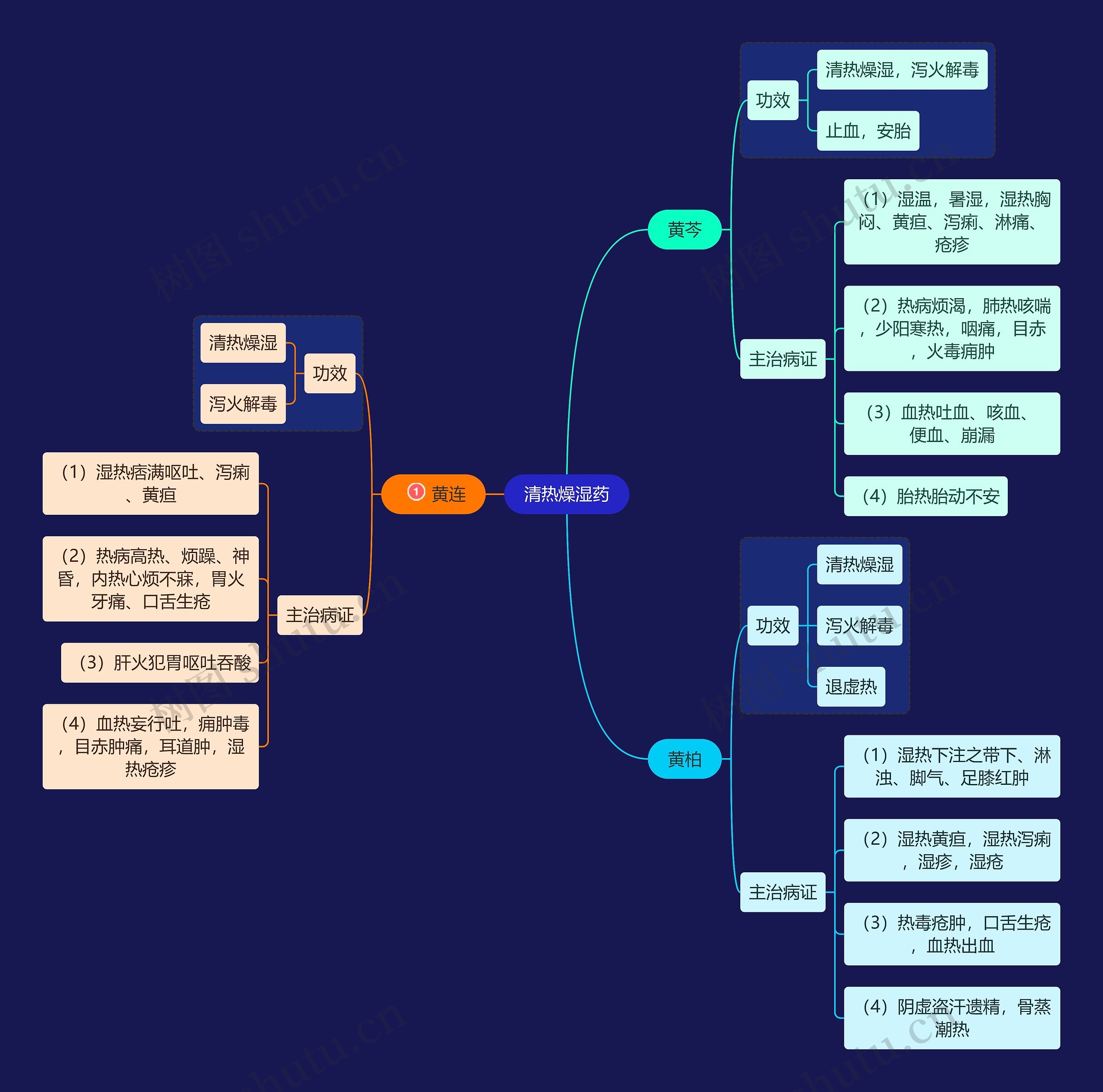 医学知识清热燥湿药思维导图