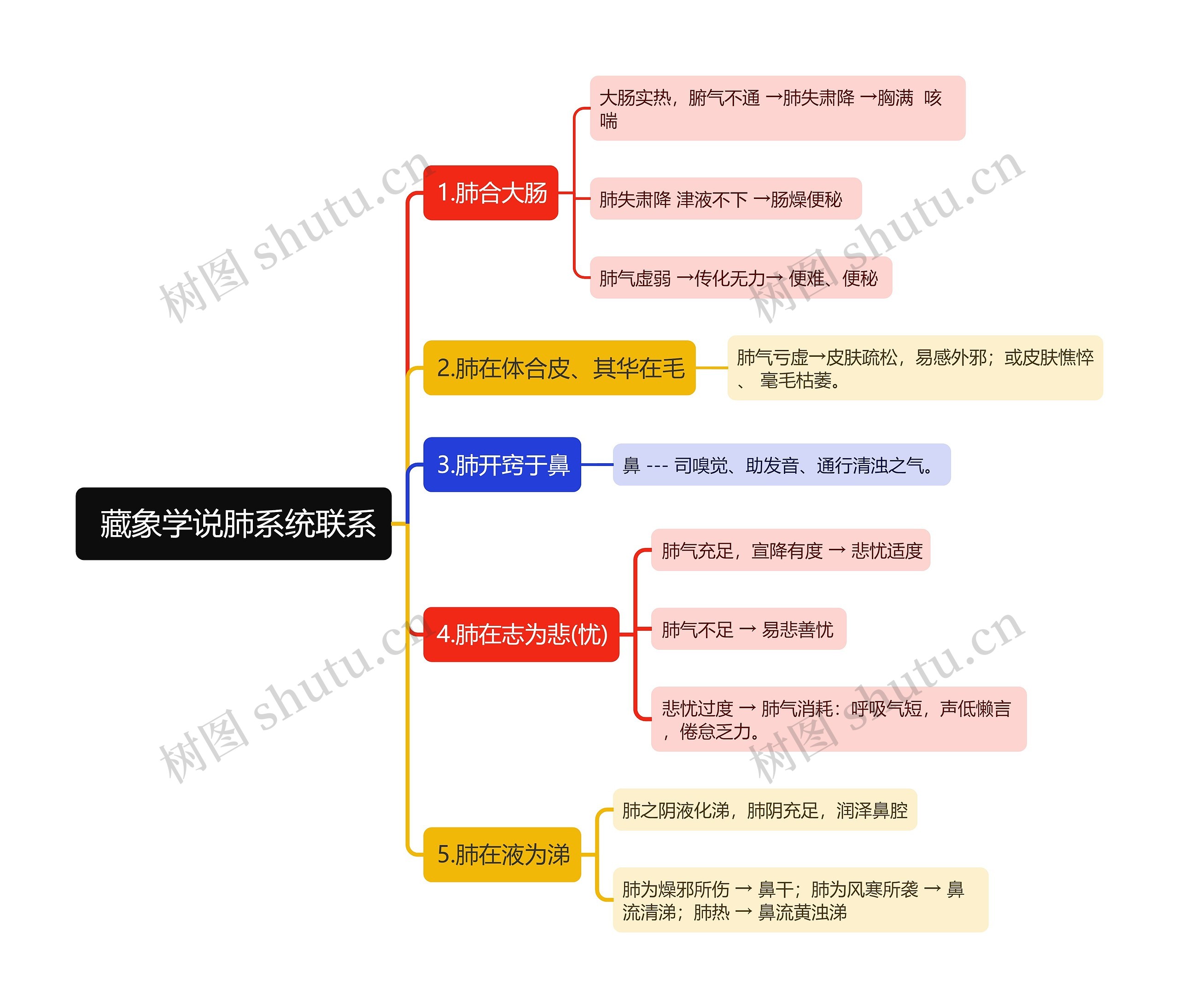  藏象学说肺系统联系思维导图