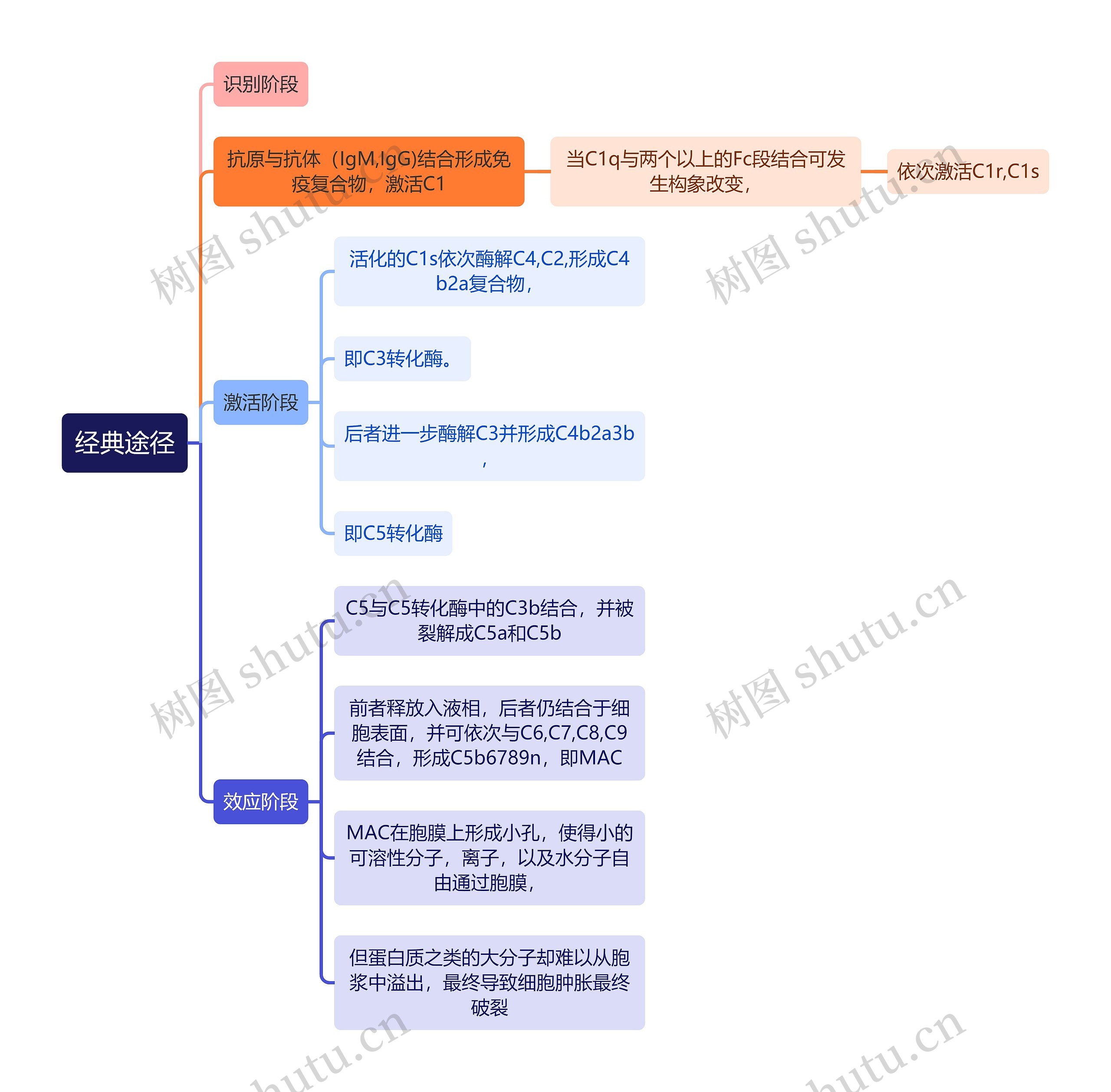 医学知识经典途径思维导图