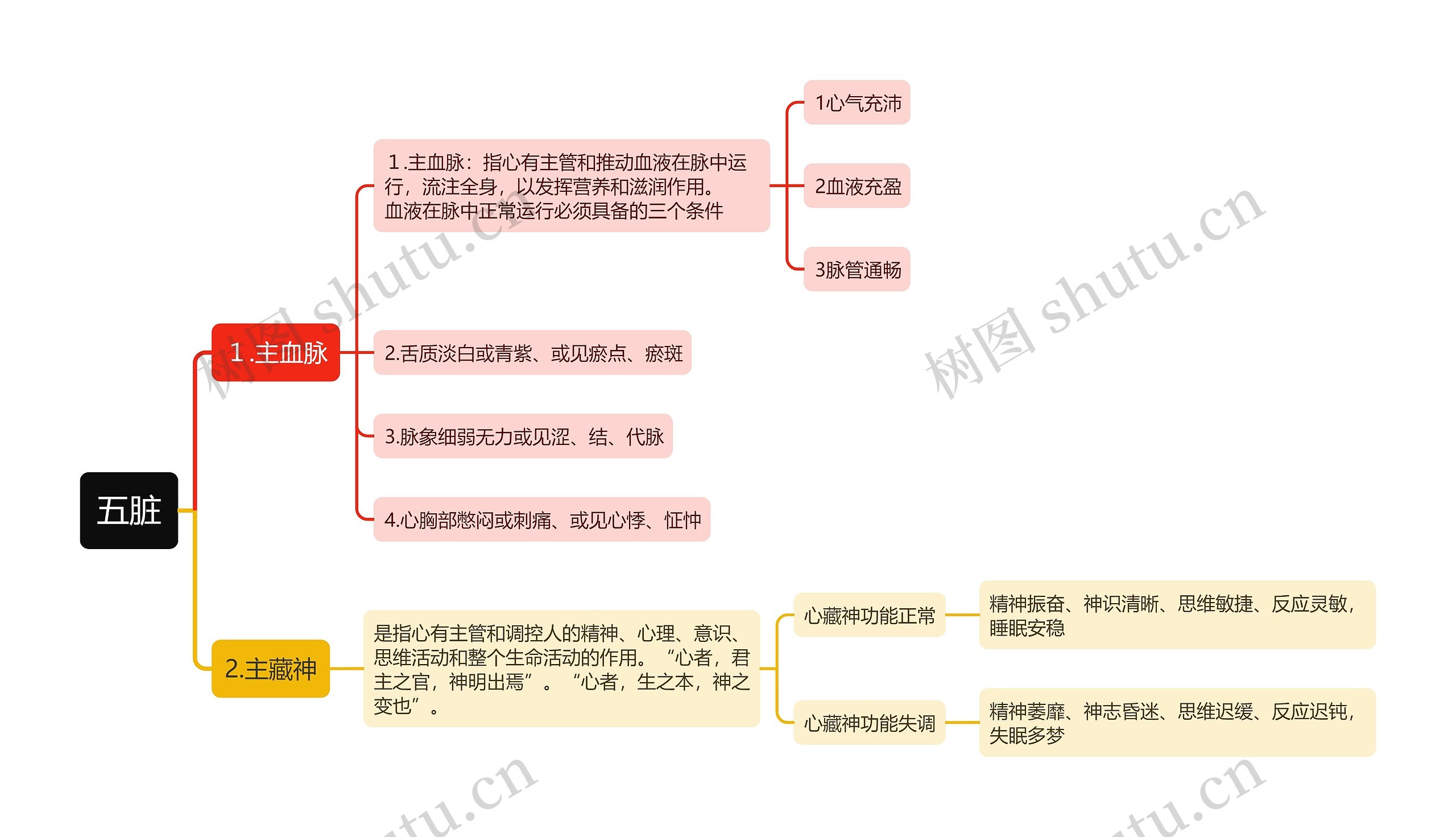 五脏思维导图