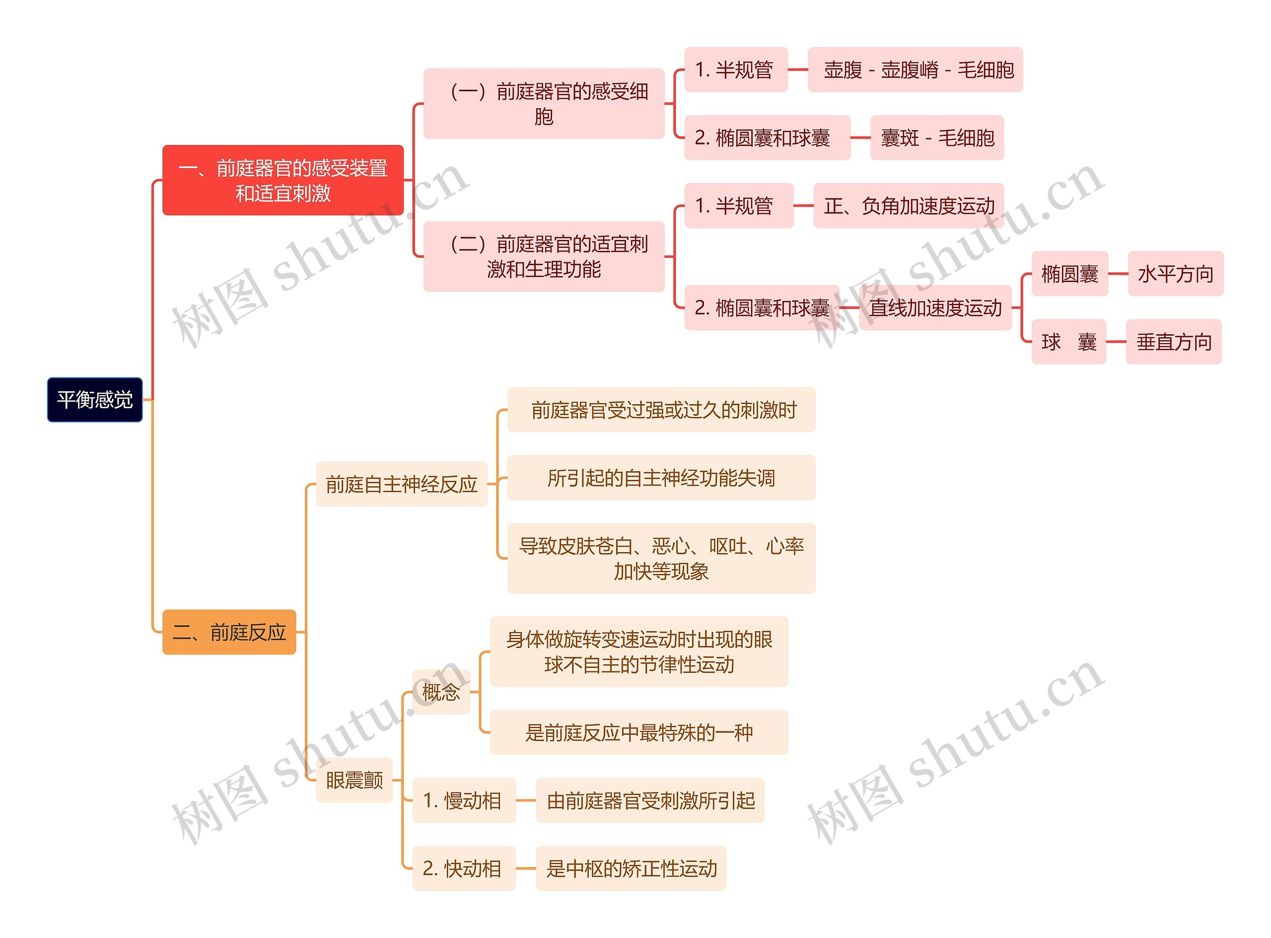 医学知识平衡感觉思维导图