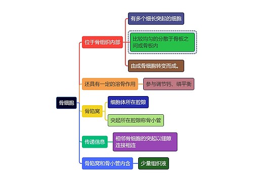 医学知识骨细胞思维导图