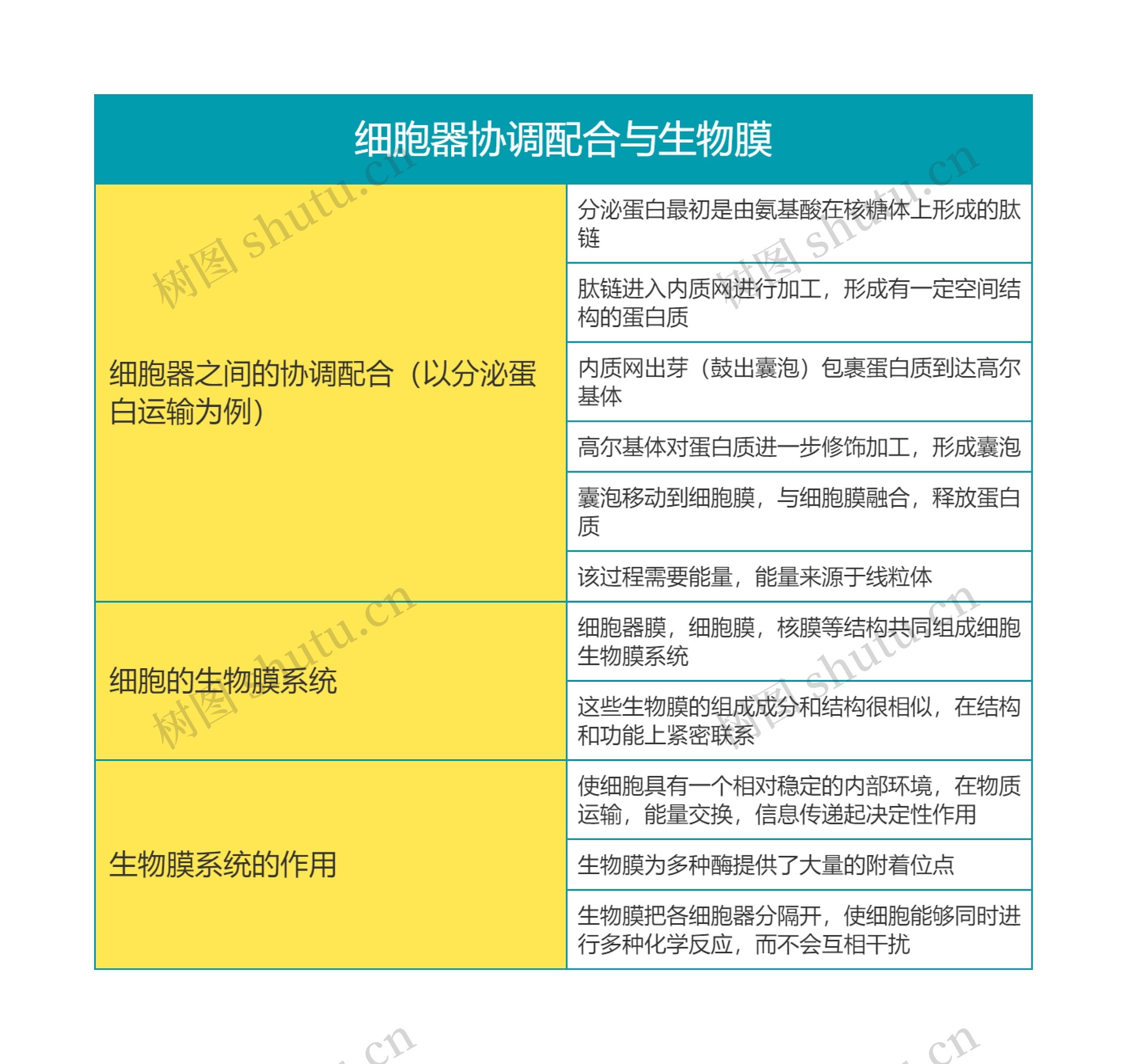 高中生物必修一第三单元细胞器协调配合与生物膜思维导图