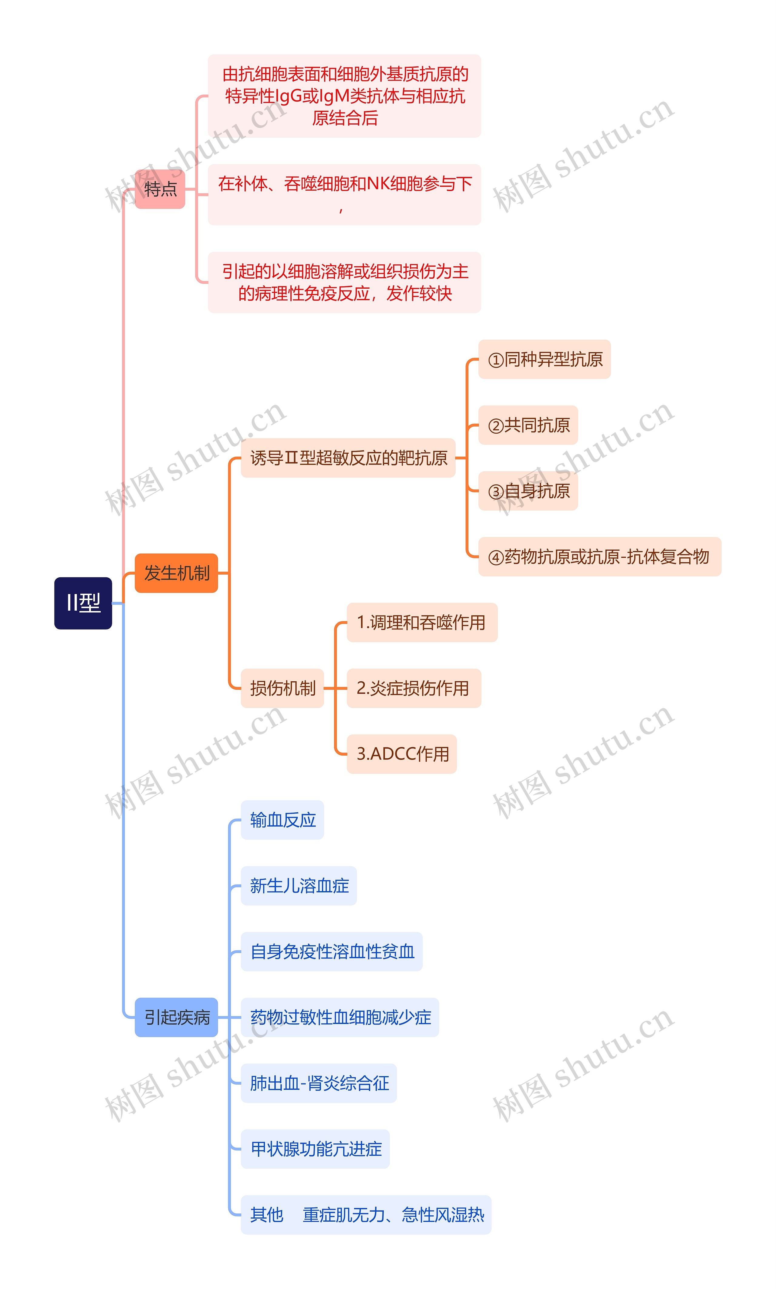 医学知识II型思维导图