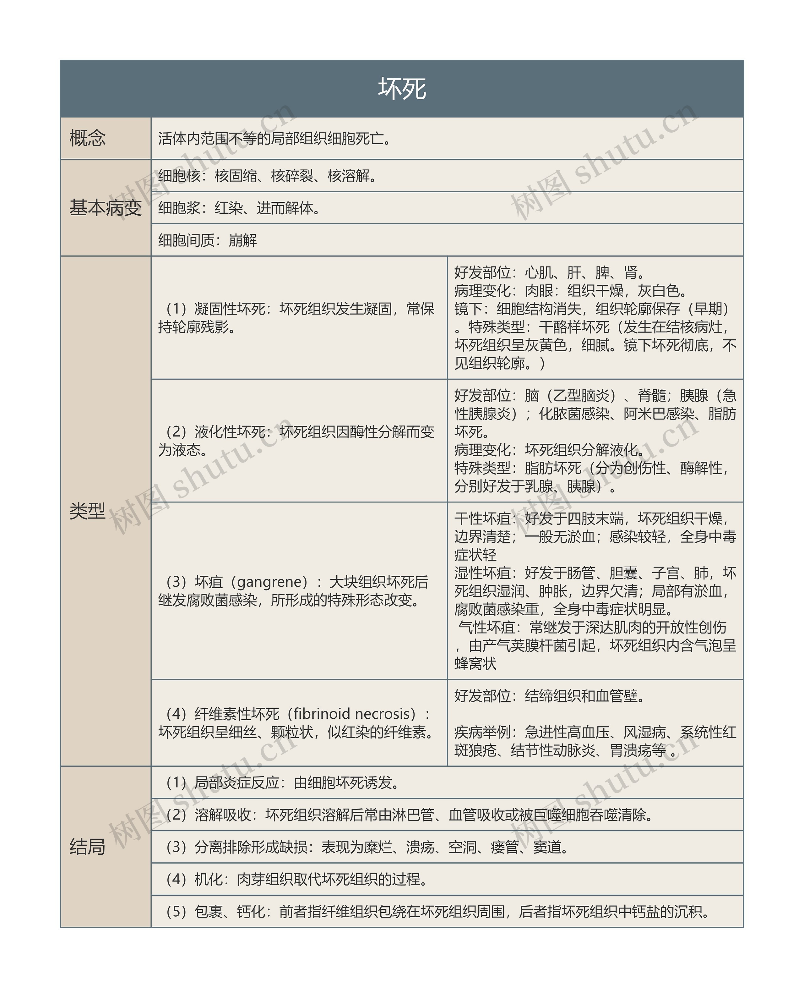 坏死的思维导图