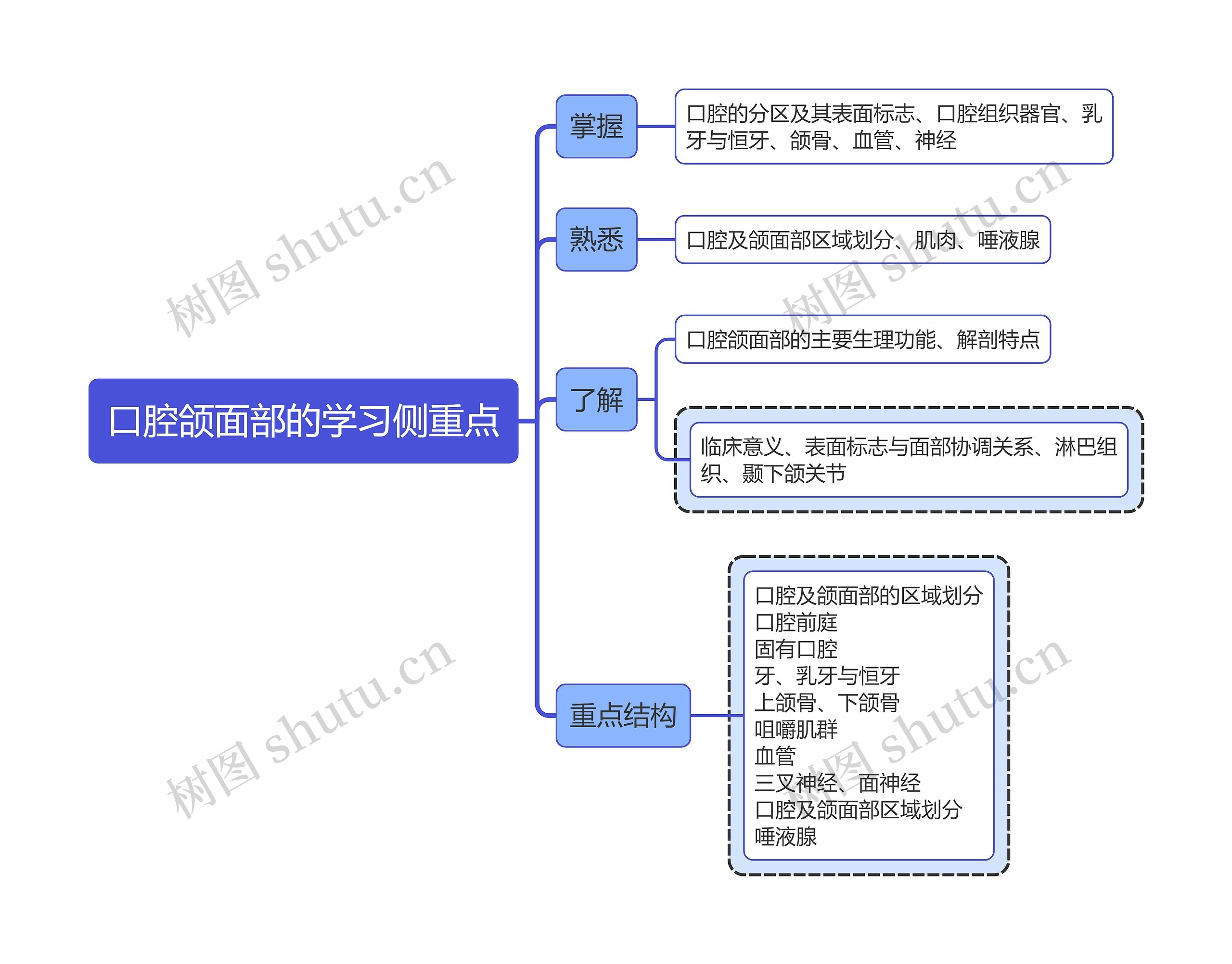 医学知识口腔颌面部的学习侧重点思维导图