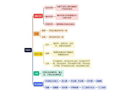 解剖学知识肝解剖思维导图