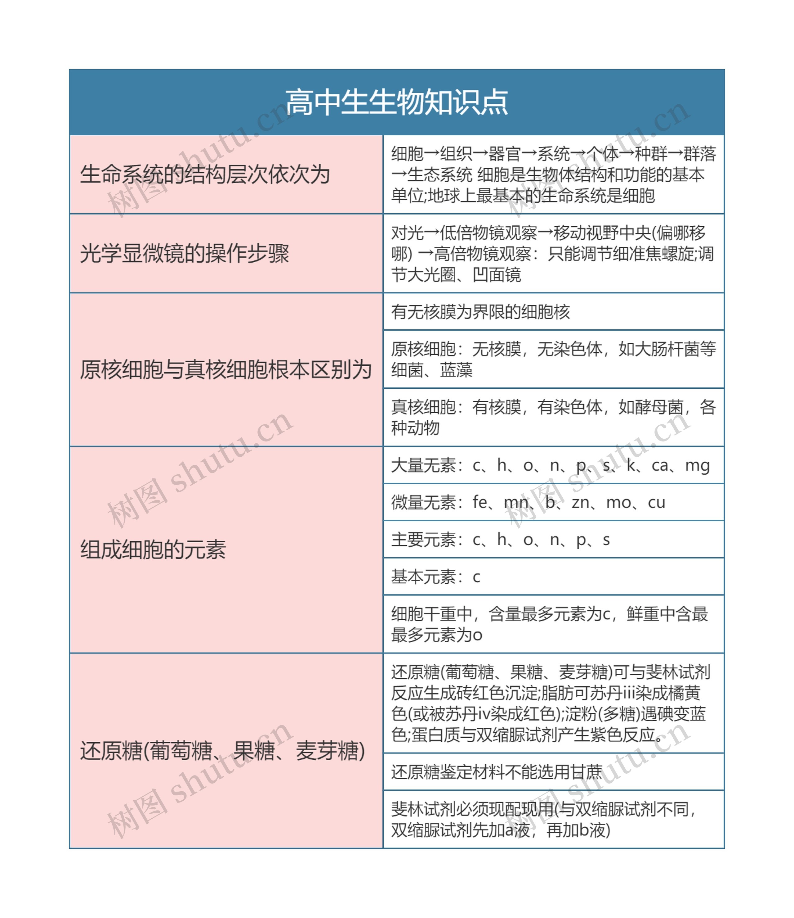 高中生物知识点思维导图