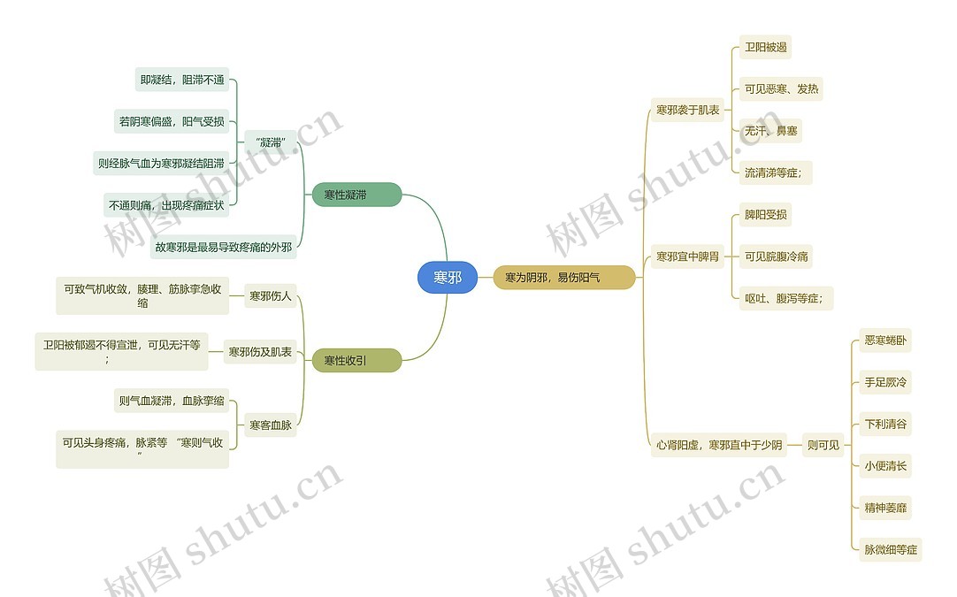 中医知识寒邪思维导图_编号t6960280-TreeMind树图