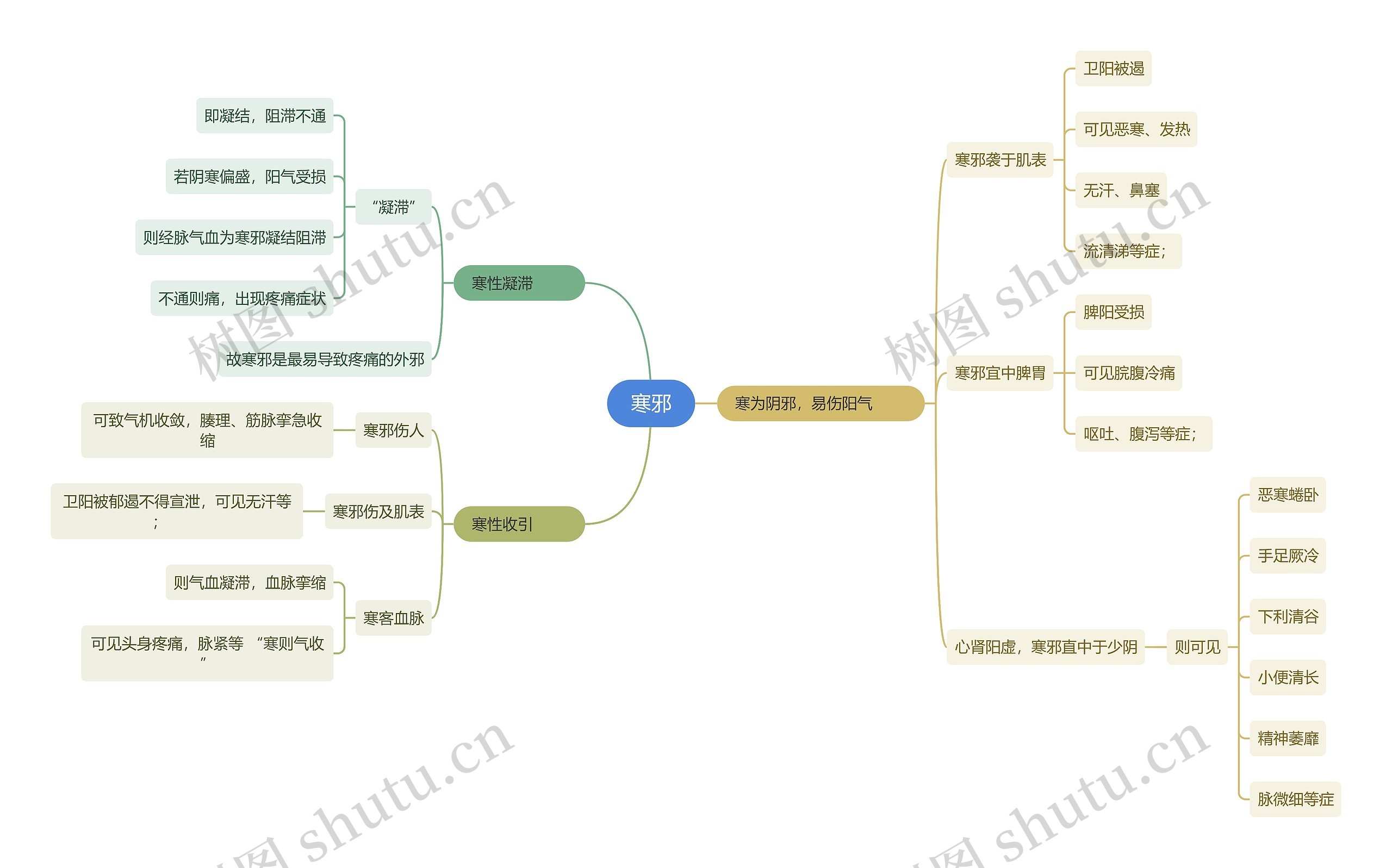 中医知识寒邪思维导图