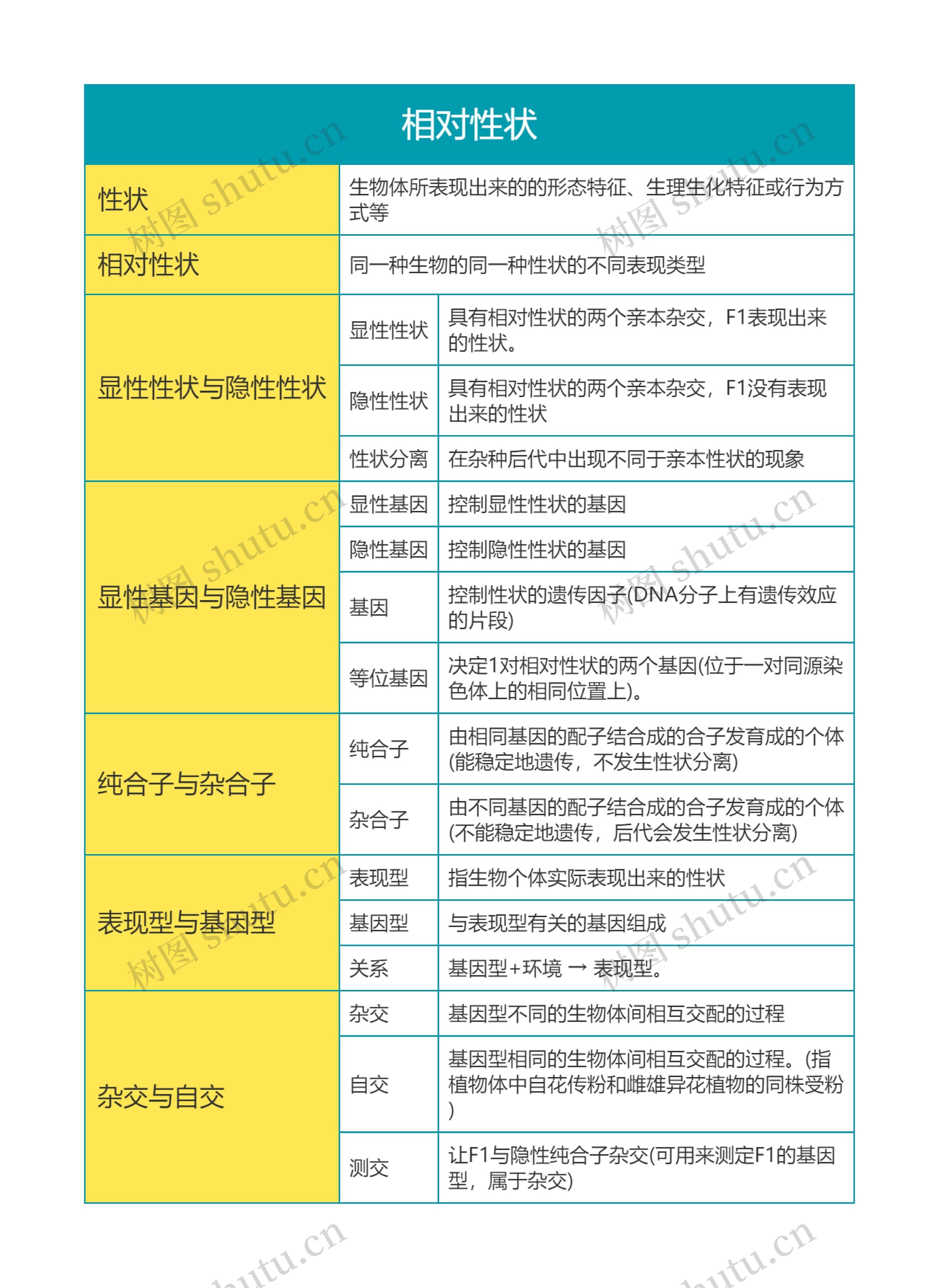 高中生物必修二相对性状知识点思维导图