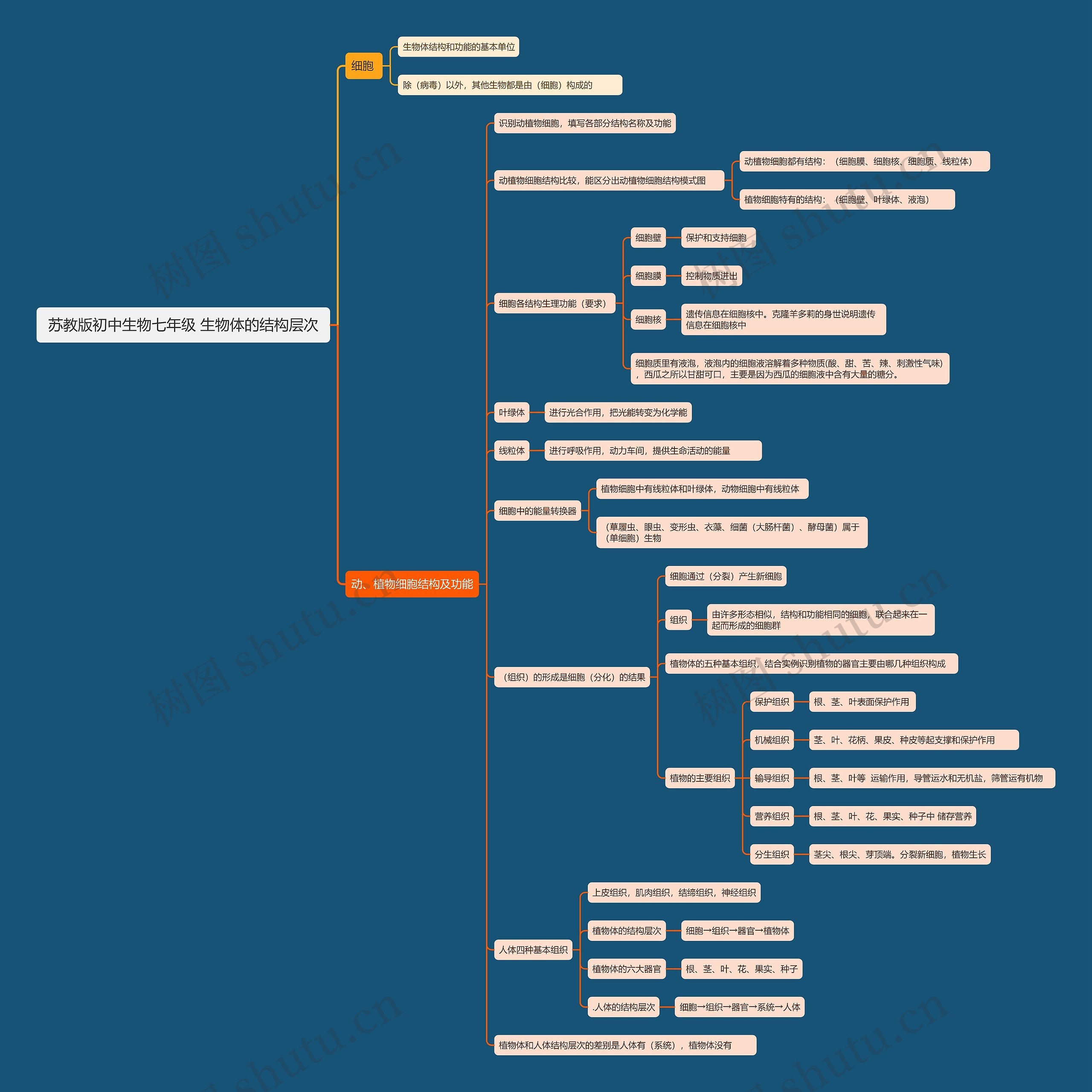苏教版初中生物七年级 生物体的结构层次思维导图高清图 苏教版初中生物七年级 生物体的结构层次思维导图